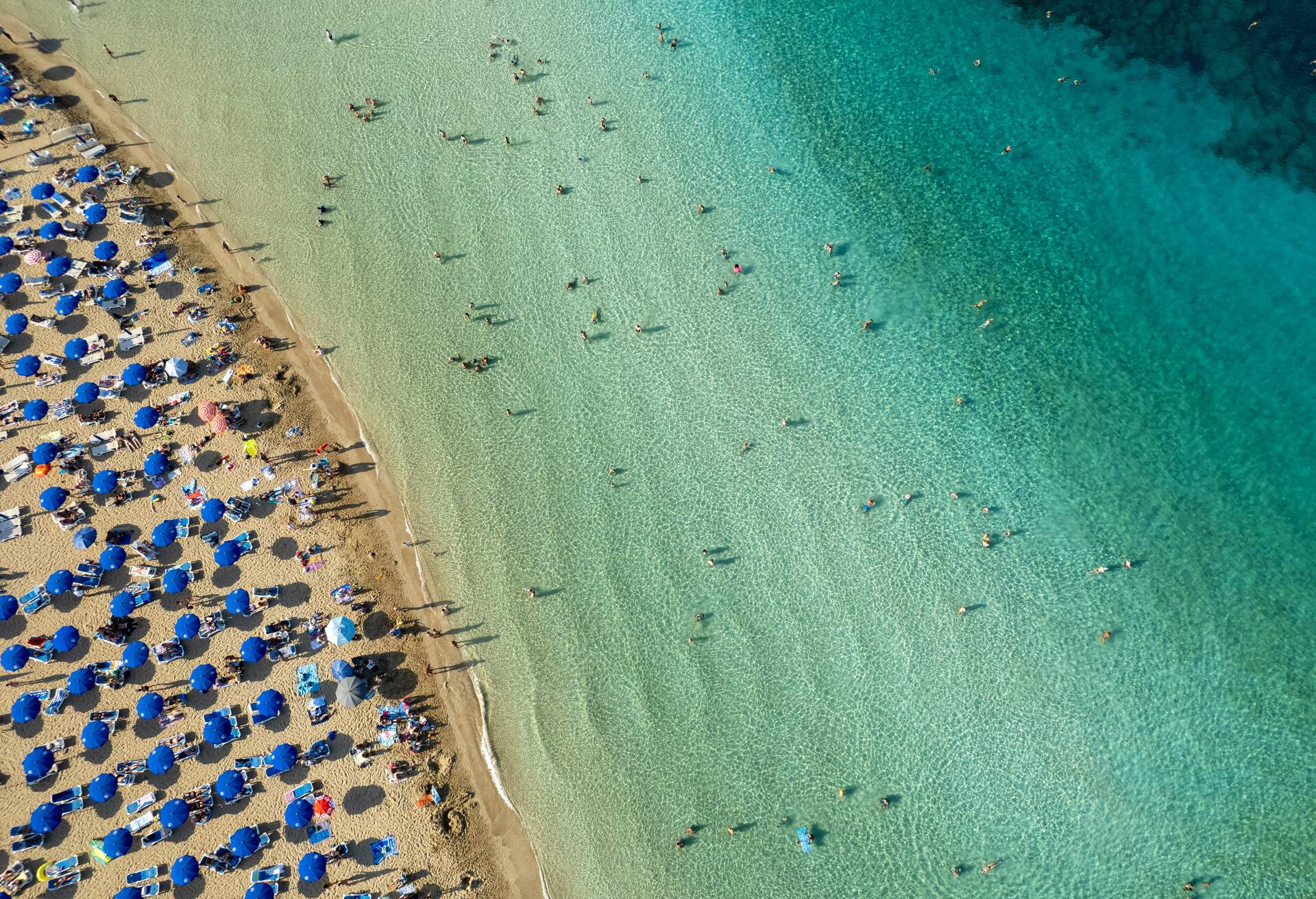 Aerial drone photograph of fig tree bay beach. with tourists relaxing and enjoying summer vacations cyprus.