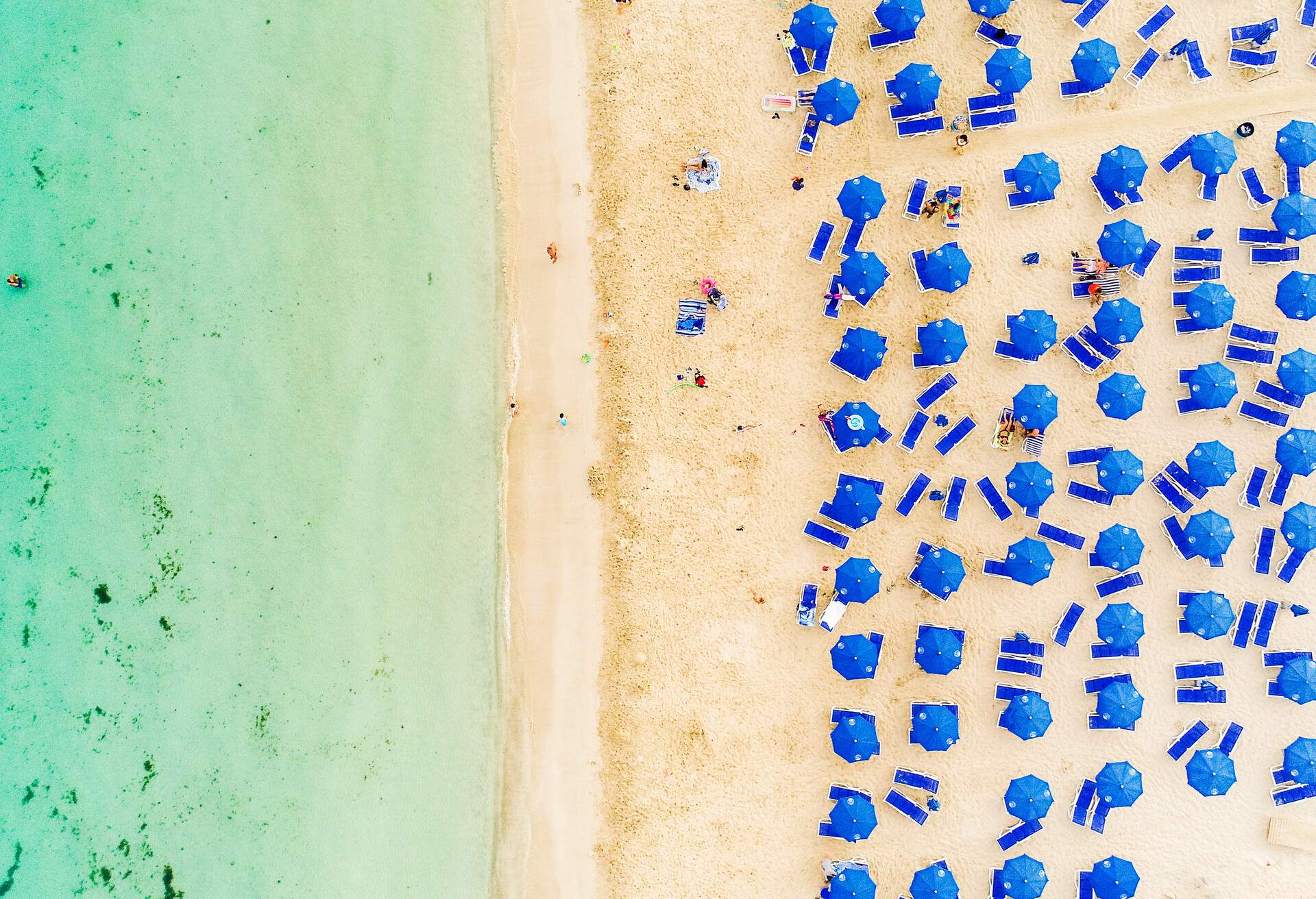 Aerial bird's eye view of famous Makronissos beach coastline, Ayia Napa, Famagusta, Cyprus. The landmark tourist attraction Makronisos bay at sunset with golden sand, sunbeds, sea restaurants in Agia Napa on summer holidays, from above.