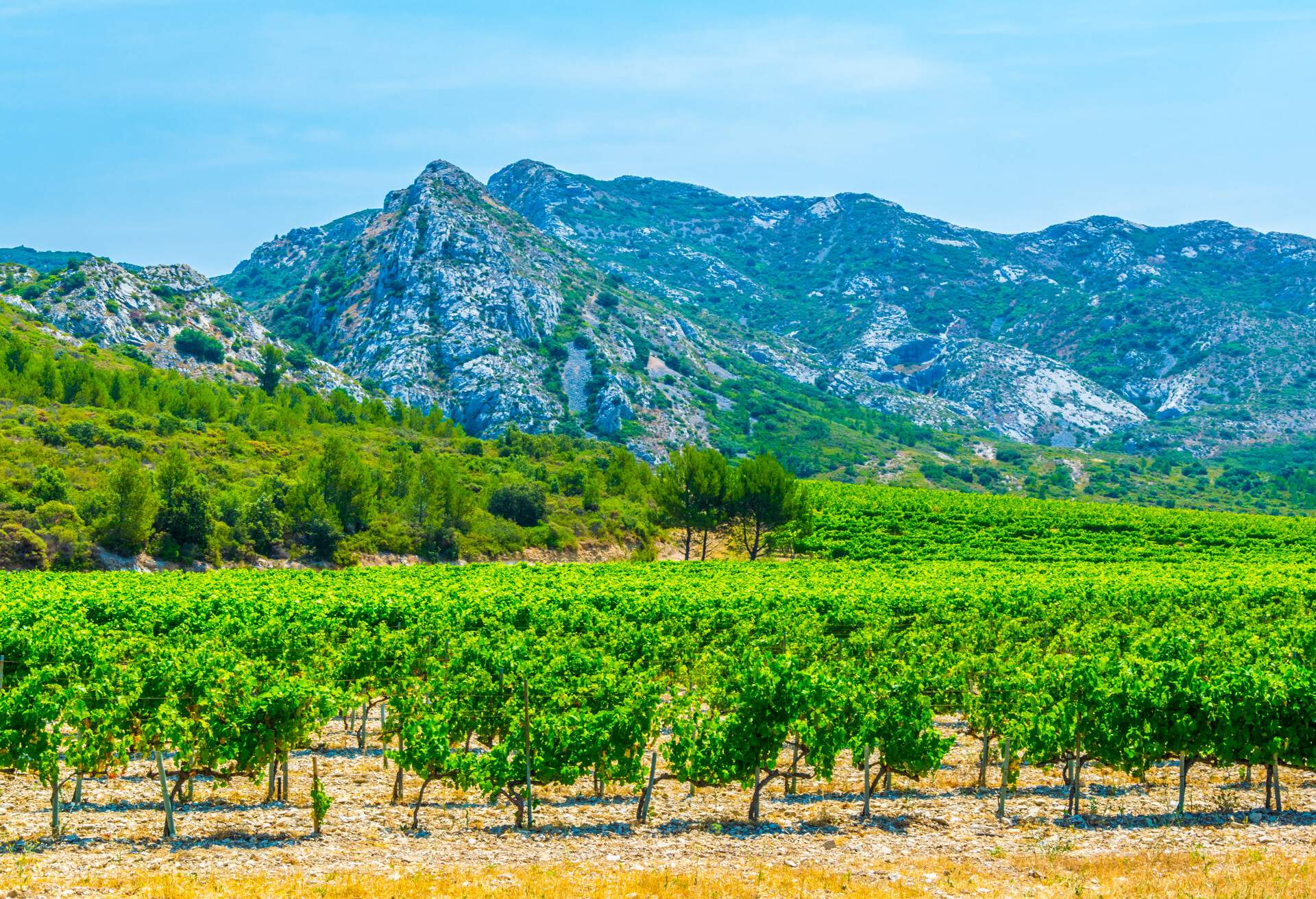 Countryside of massif des alpilles in France