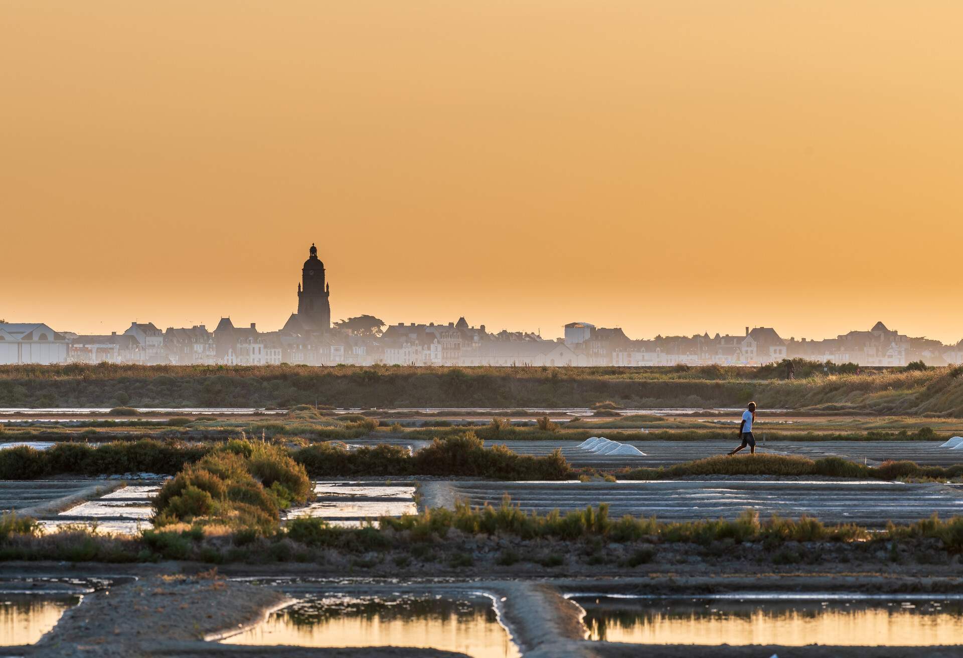 salt marsh at sunset