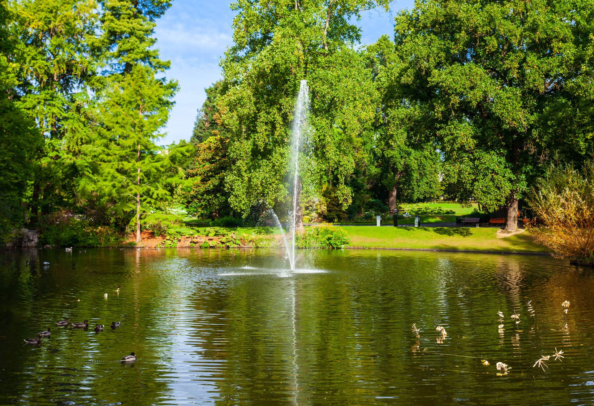 Jardin des plantes de Nantes is a municipal botanical garden in Nantes city, Pays de la Loire in France