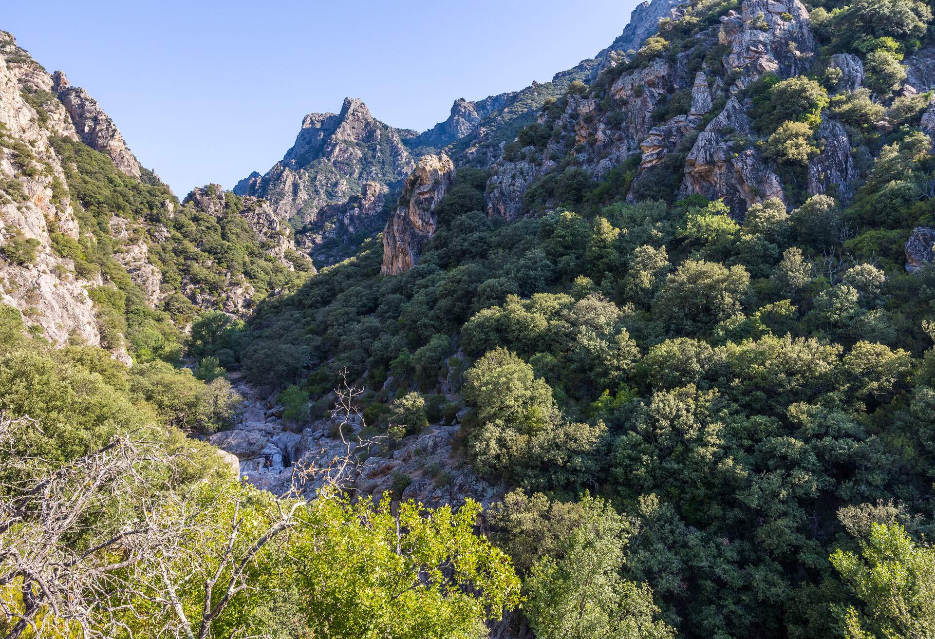 Landscape at the entrance of the Gorges de l'Héric in the Natural Park of Haut-Languedoc