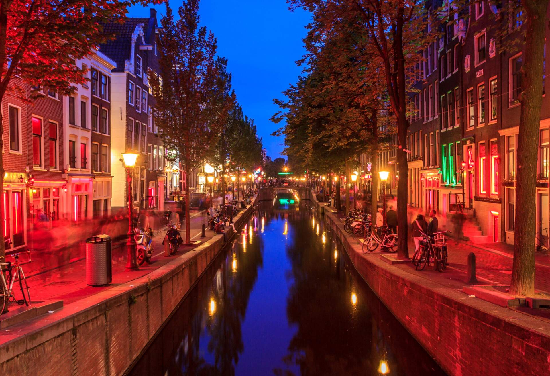 A canal lined with trees and lampposts bathed in red light.