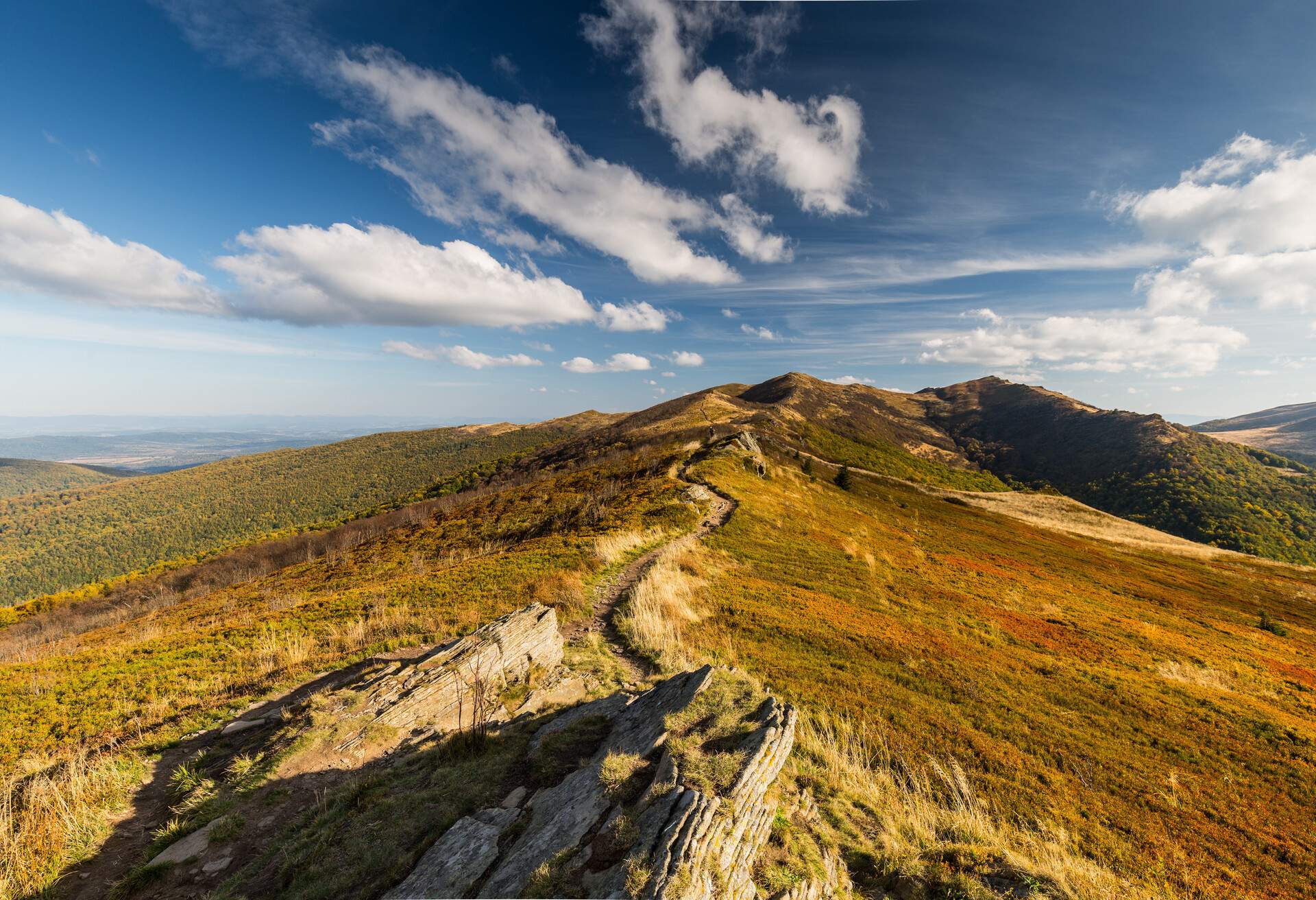 Europe, Poland, Podkarpackie Voivodeship, Bieszczady, Bukowe Berdo - Bieszczady National Park