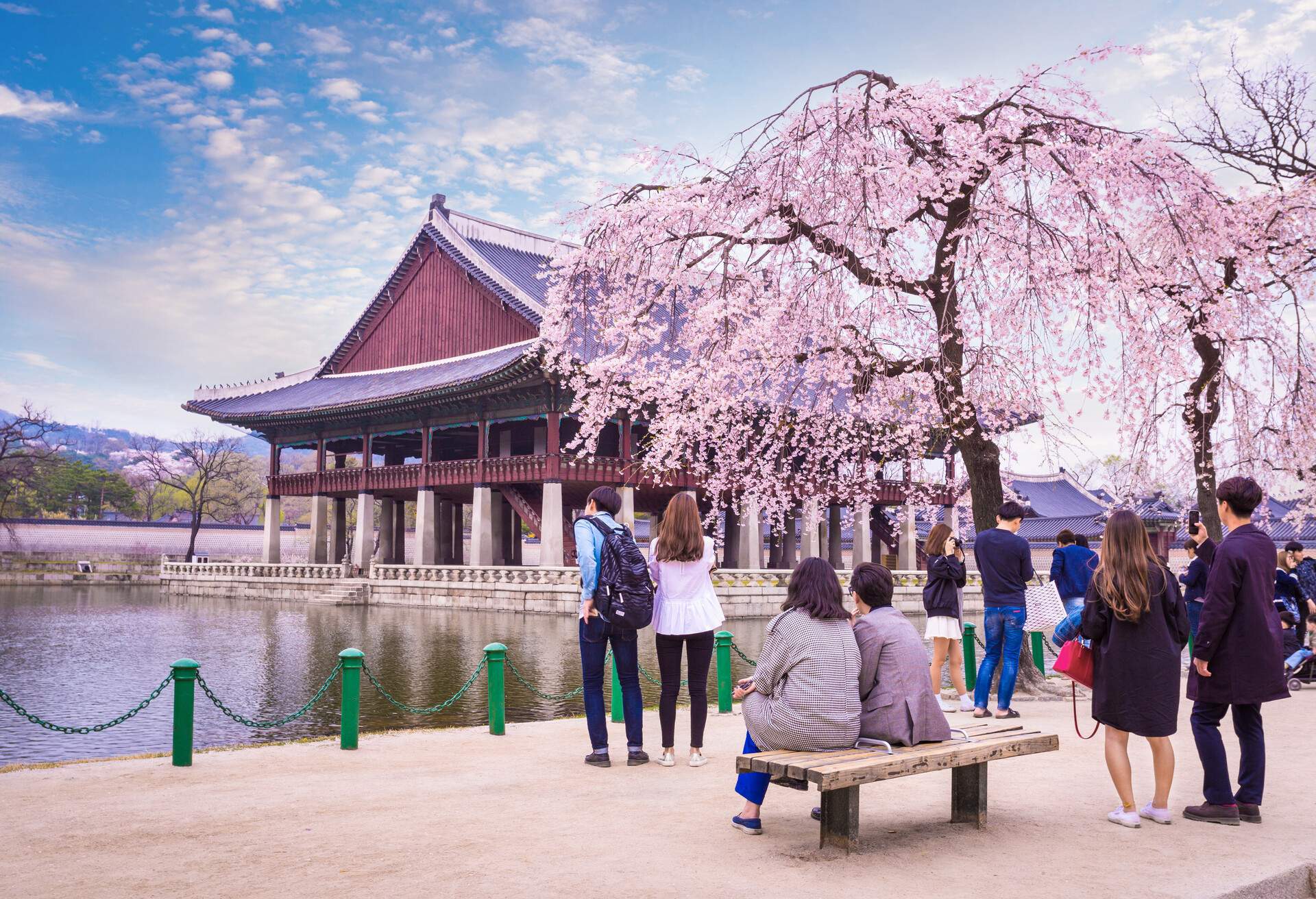 DEST_SOUTH-KOREA_SEOUL_CHERRY-BLOSSOMS_GettyImages-648084430