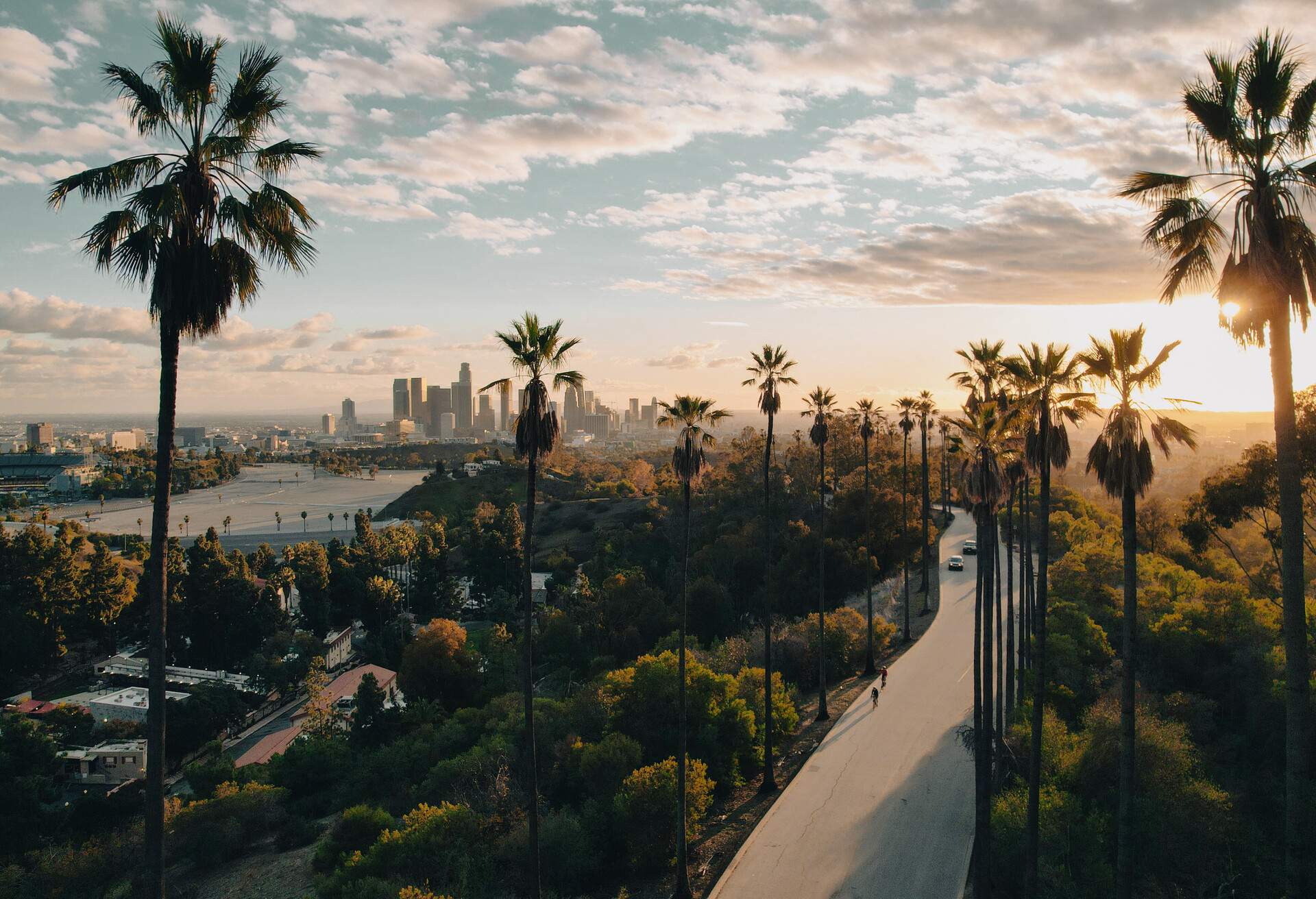 USA_CALIFORNIA_LOS_ANGELES_PALM_TREE_STREET_SUNSET