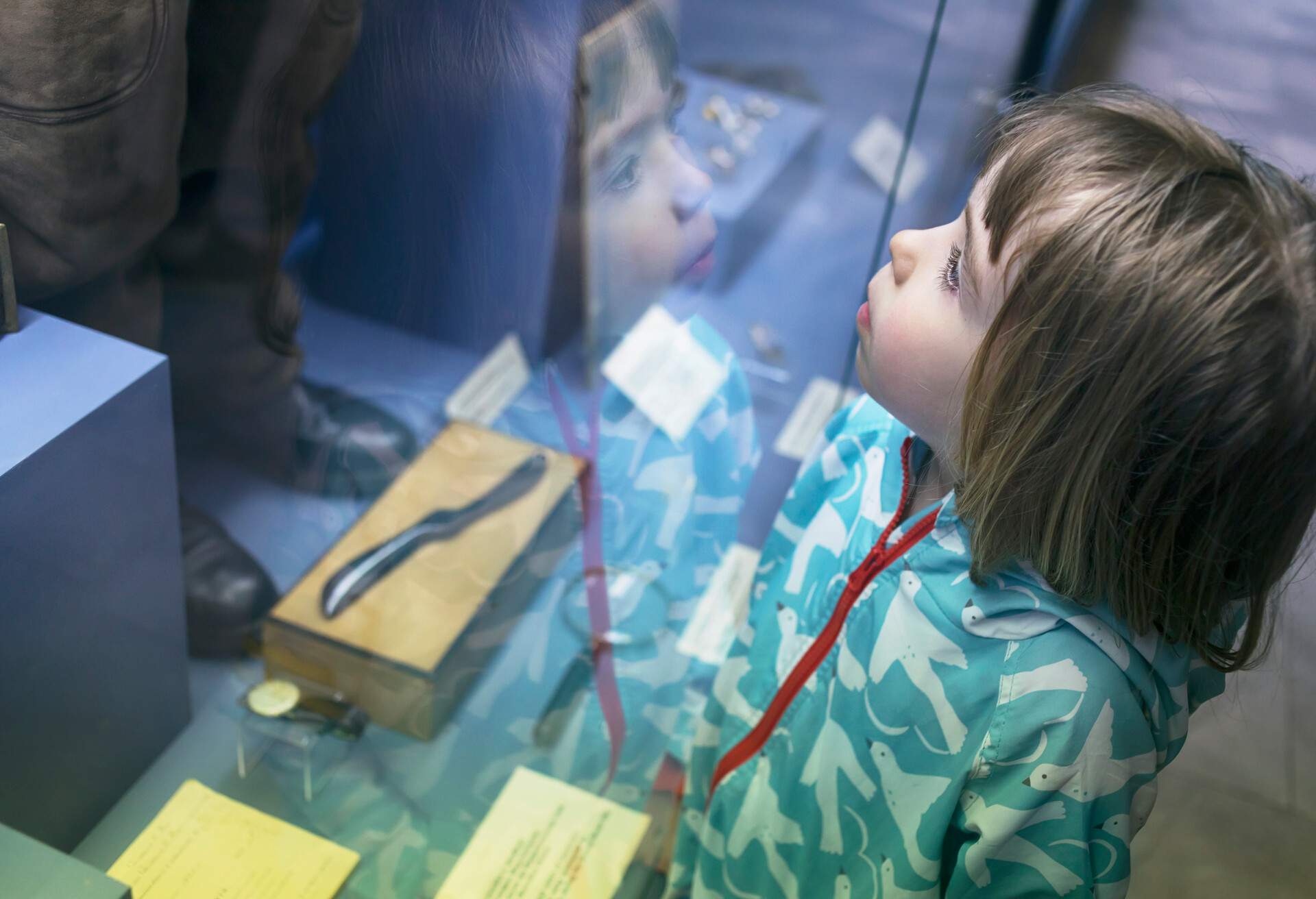 Little boy looking through museum display window.. Reflection in the glass.