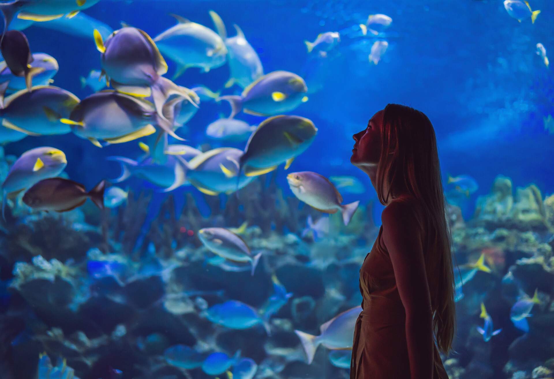 Young woman touches a stingray fish in an oceanarium tunnel.