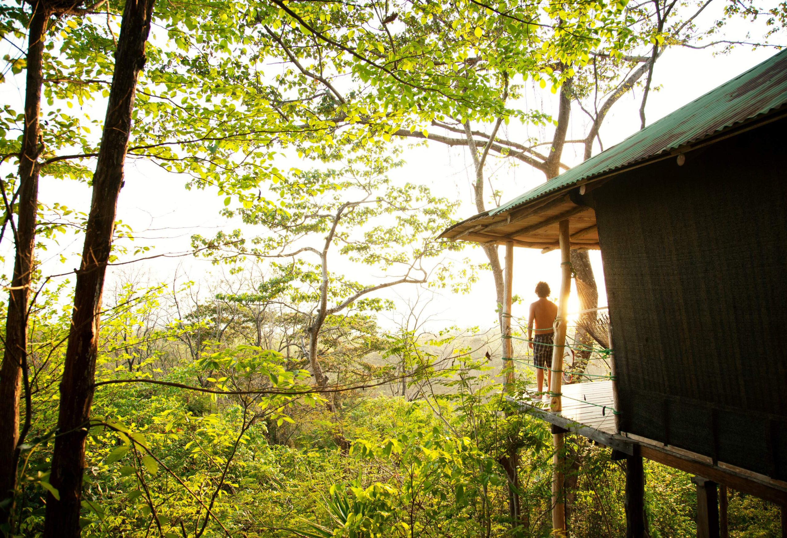 A man stands on the terrace of a tree house and gazes at a forested landscape.