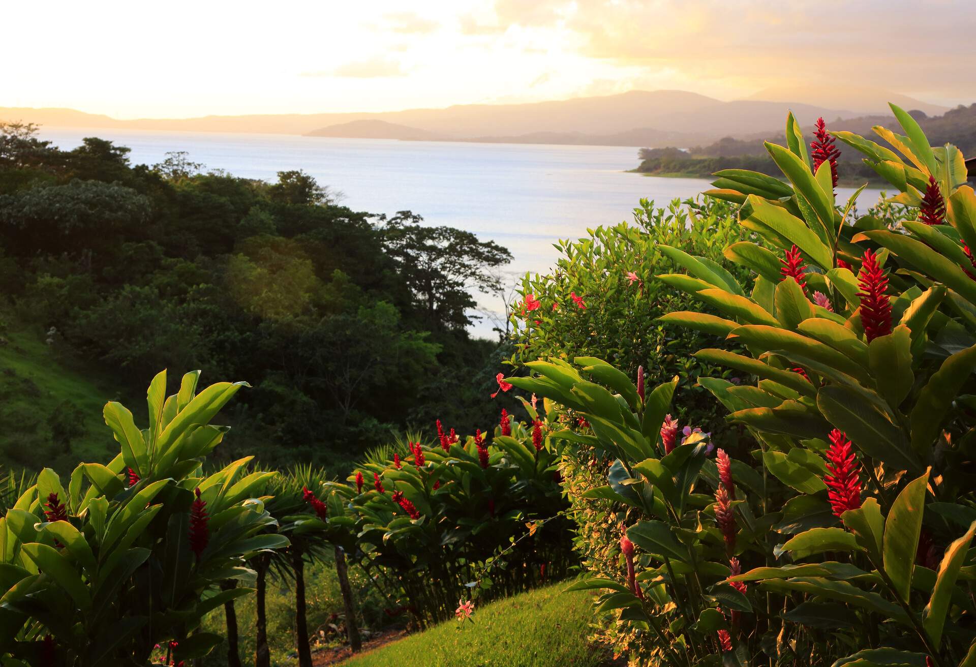 DEST_COSTA_RICA_LAKE_ARENAL_SEA_GettyImages-947676568