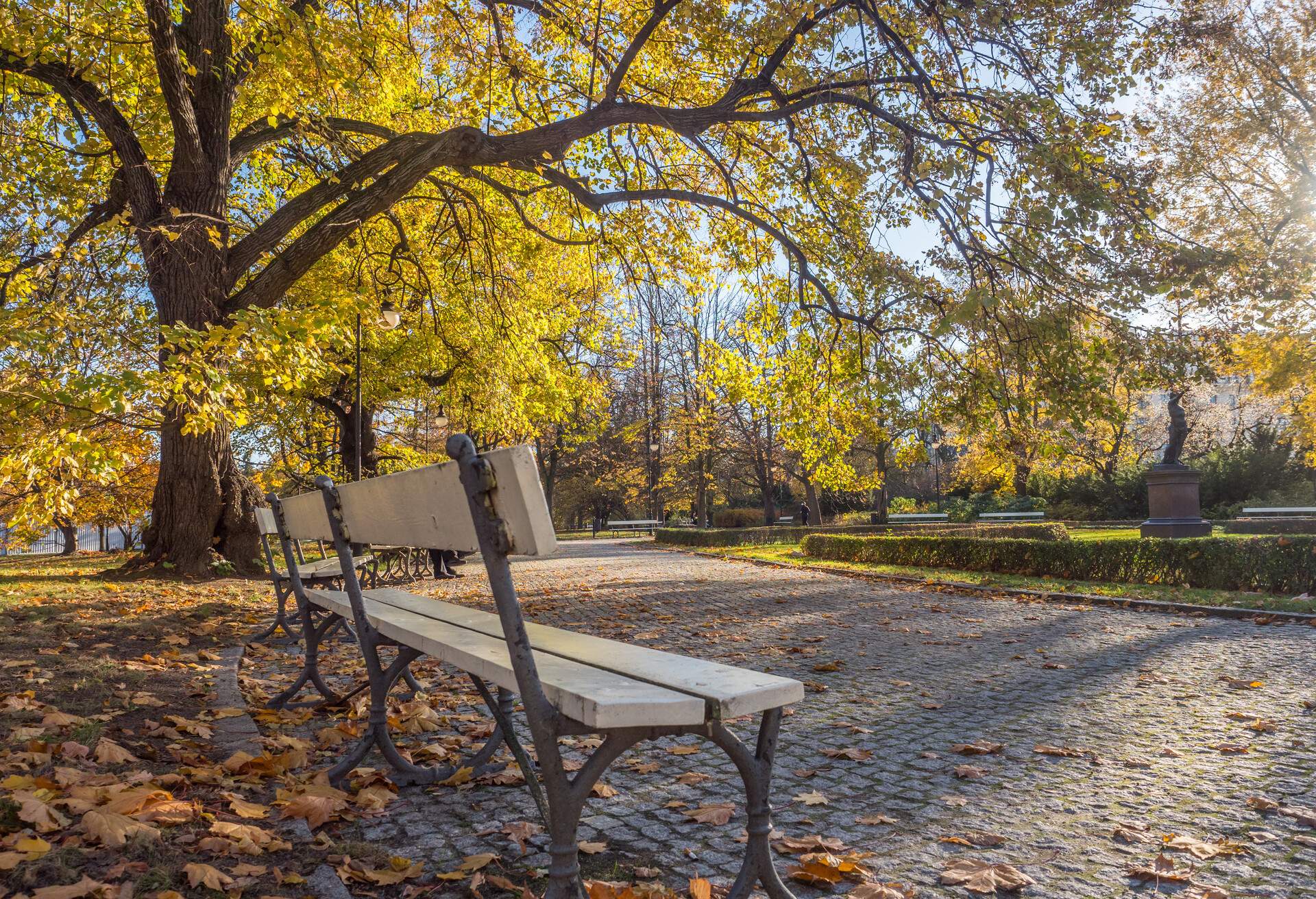 Warsaw, Poland - October 31, 2018: Beautiful sunny autumn landscape with fallen dry brown leaves, road through the park and yellow trees. Royal Baths