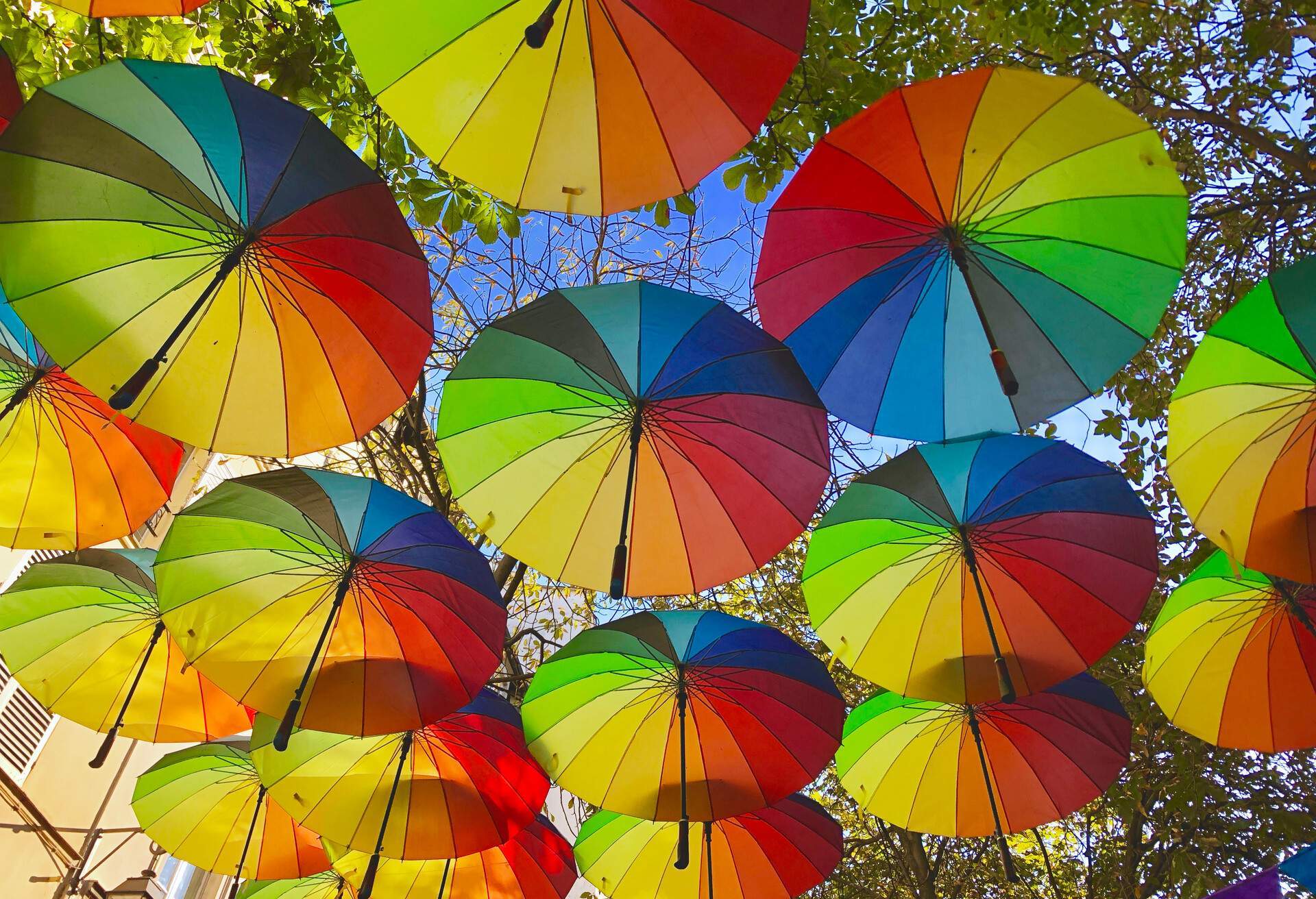 A cluster of rainbow umbrellas hanging amongst the trees.