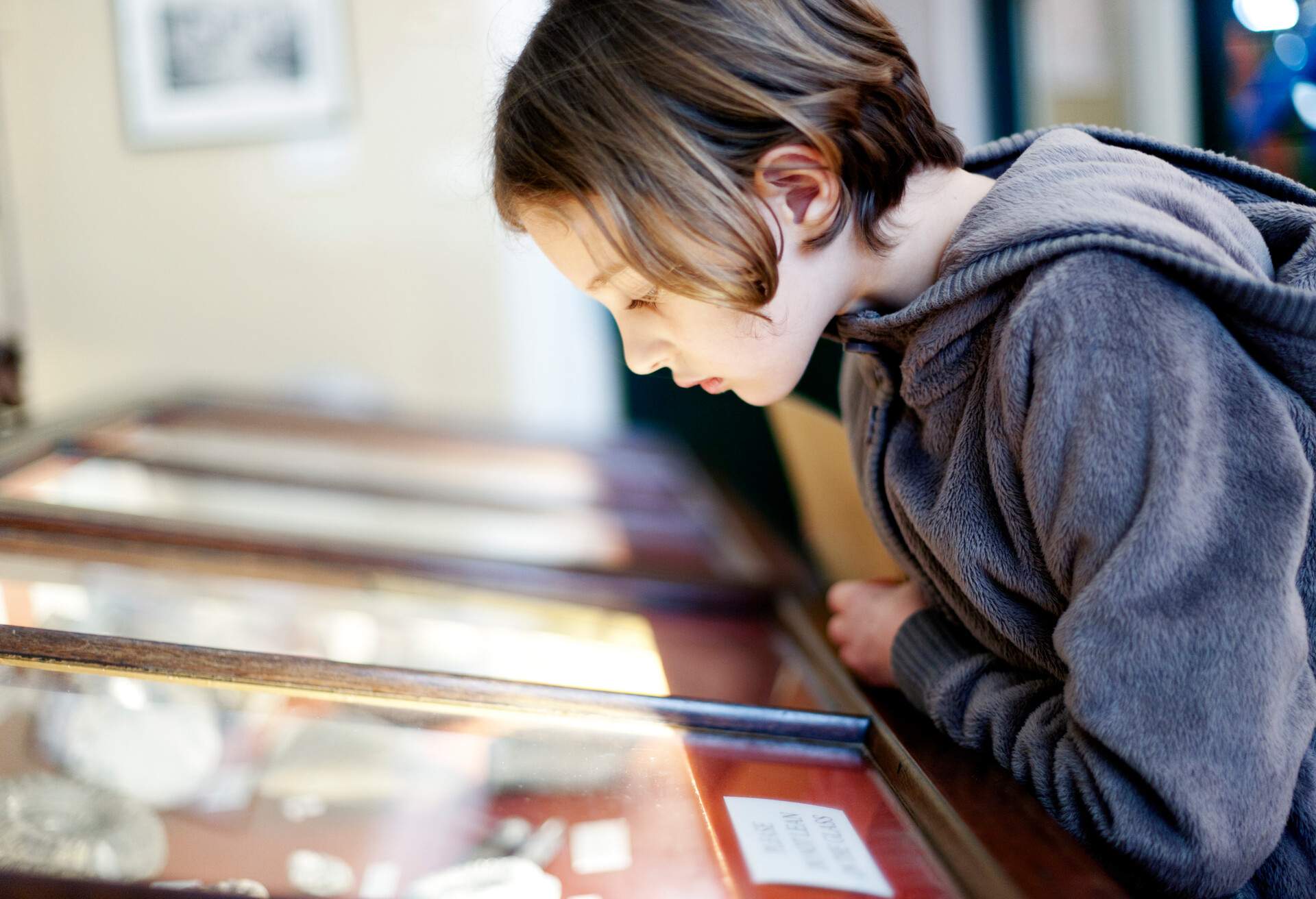 Brunette kid in a grey hoodie looks down on a glass-encased exhibit.