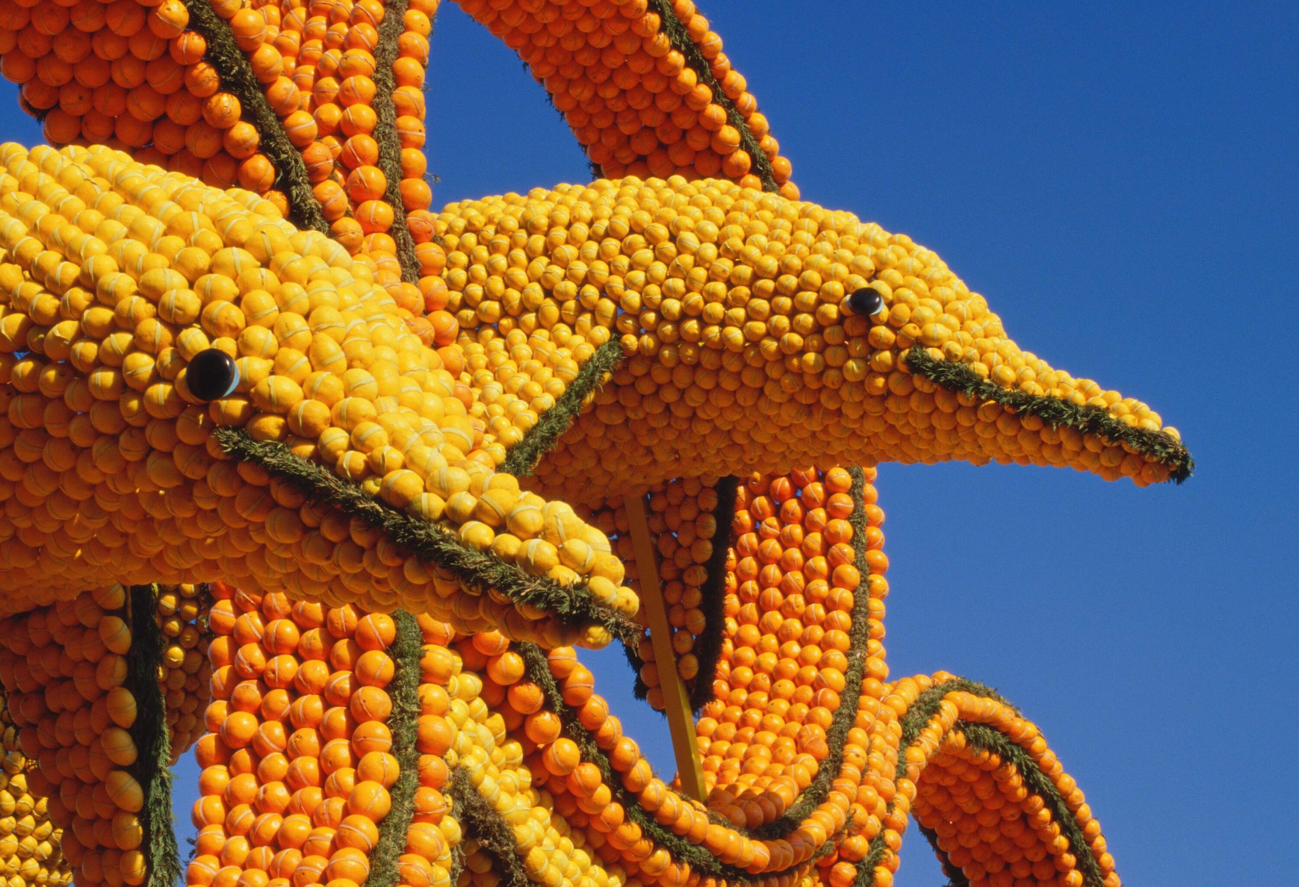 Close up of two dolphine shaped sculptures made out of citrus fruit agains a blue sky