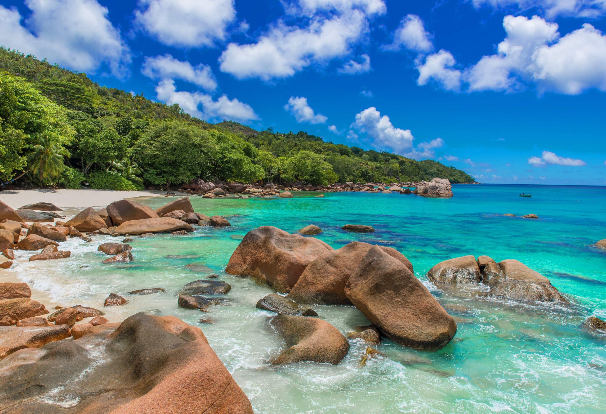 A rocky beach with tranquil turquoise water lies alongside a lushly forested mountain.