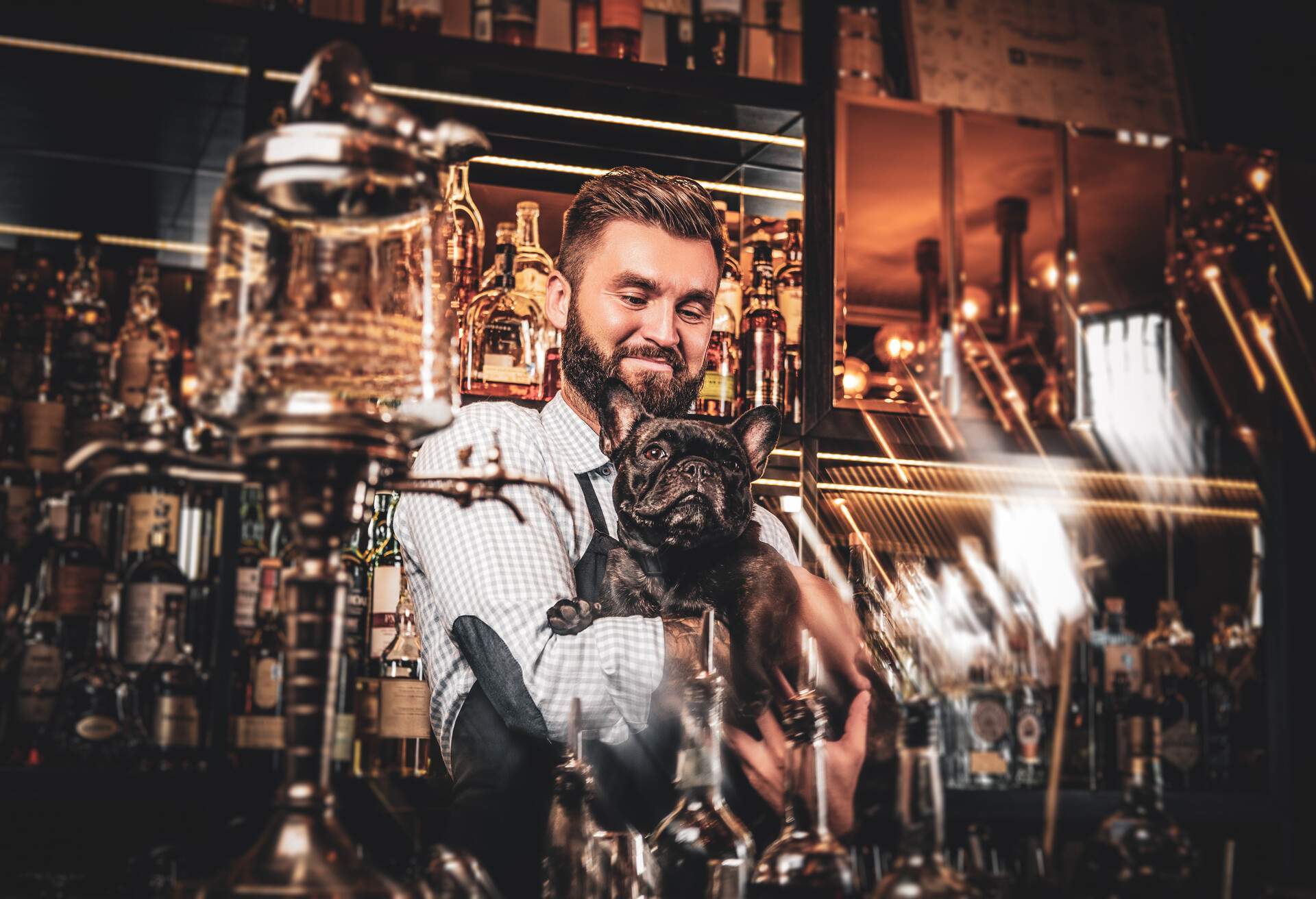 BAR_MAN_DOG