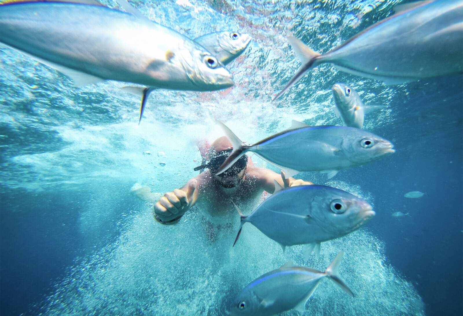 A diver swims with a flock of fish under the deep blue sea.