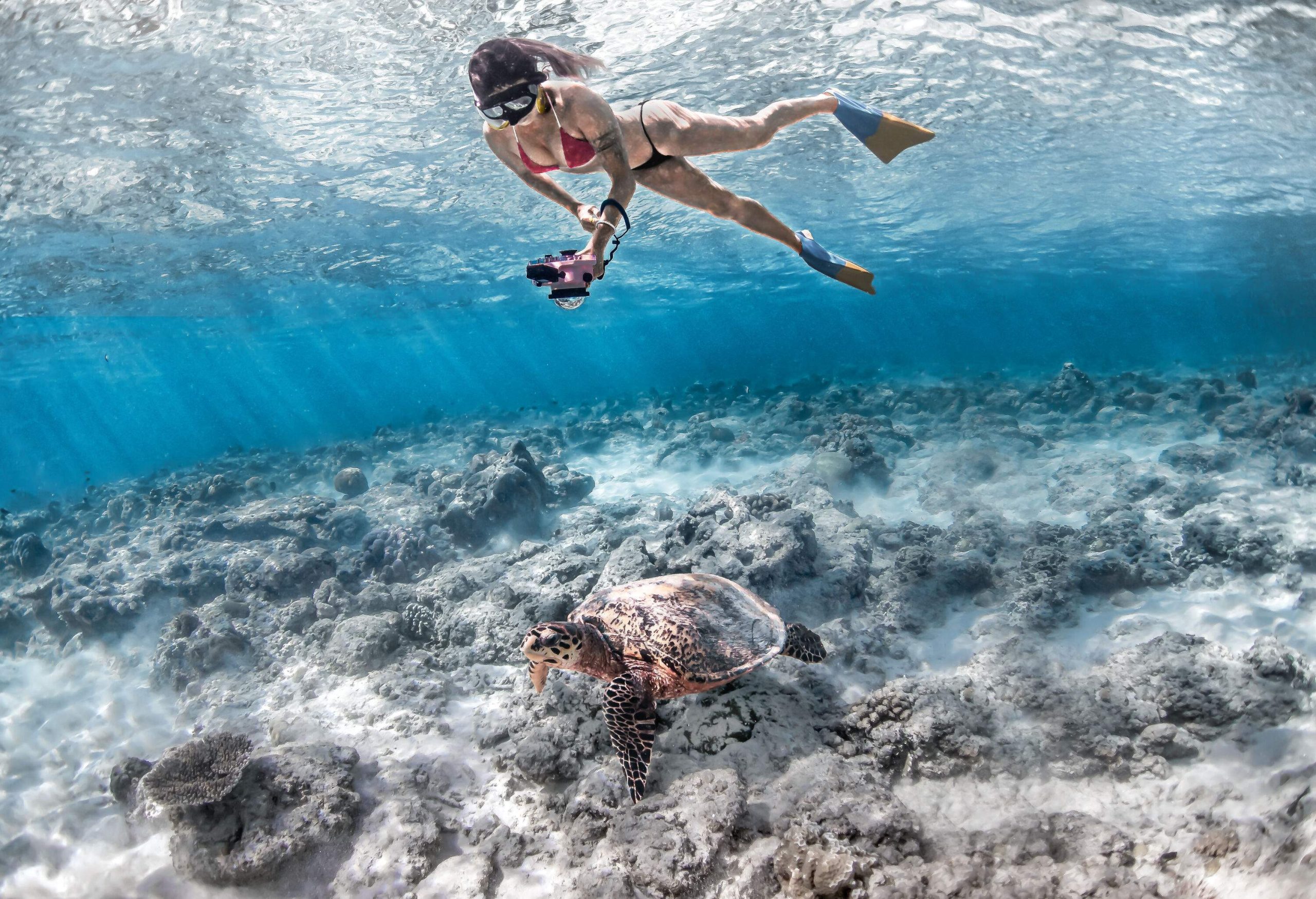 A swimmer wearing snorkelling goggles and flippers photographs a sea turtle swimming across a coral reef.