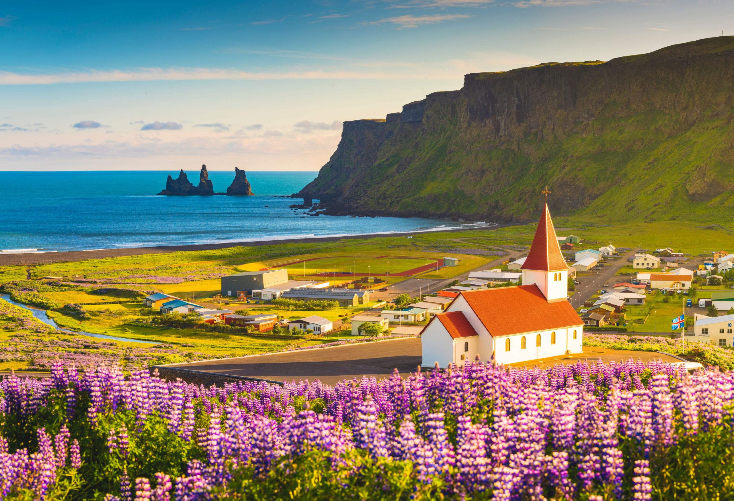 Fields of vibrant purple lupins bloom in the foreground, with a quaint town church and the shimmering sea beyond, all surrounded by steep green cliffs towering in the background.