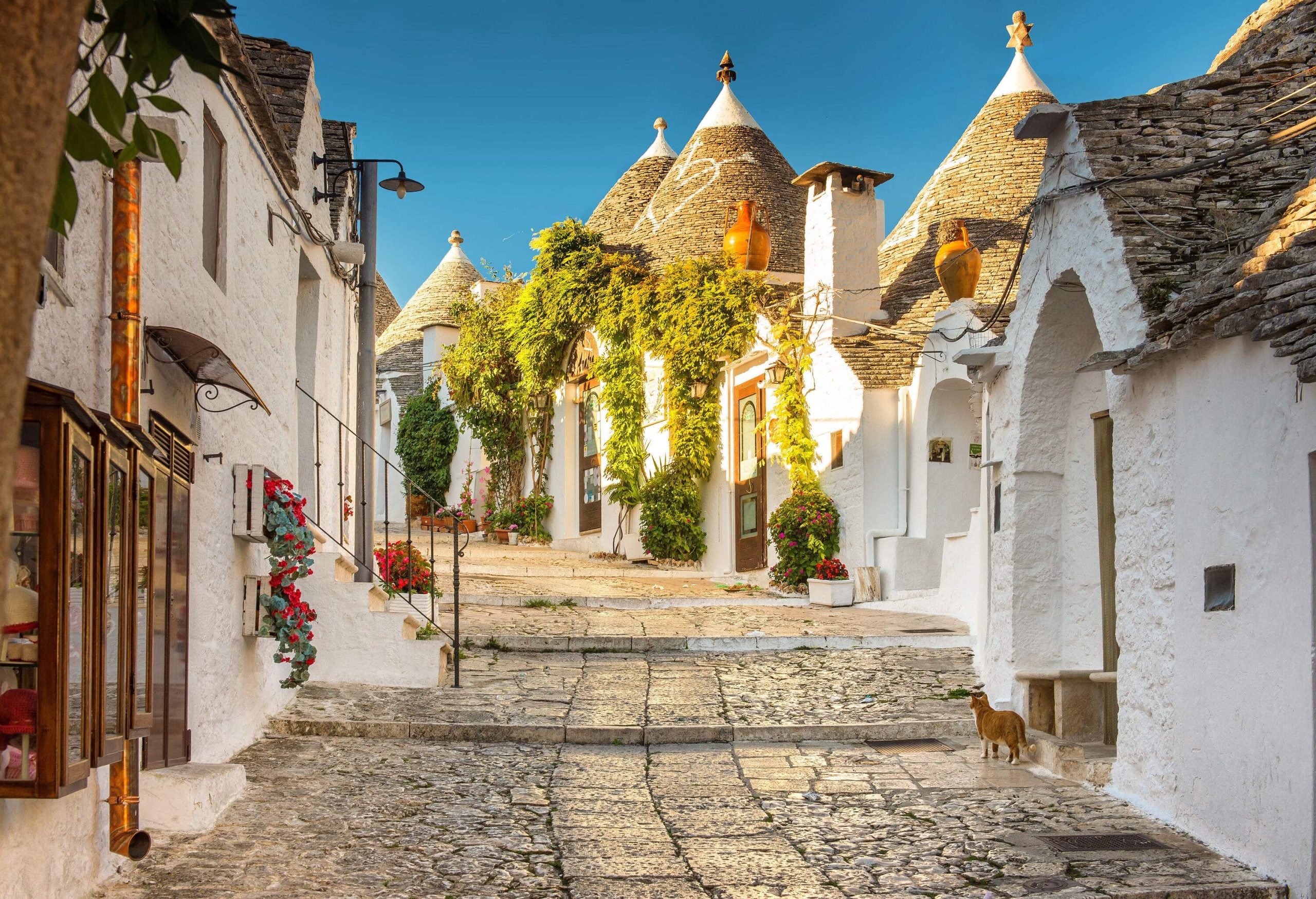 A cobbled sloping pathway in the middle of coned-roof trulli houses.