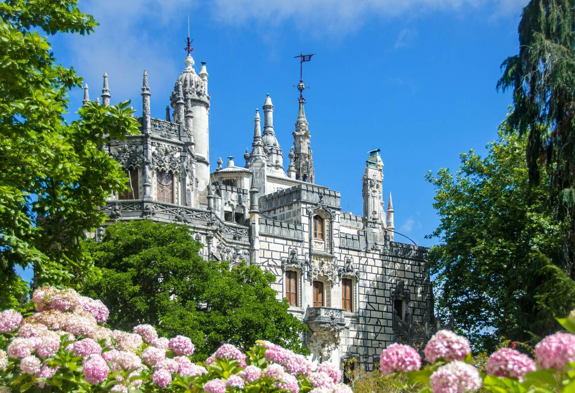 The palace of Quinta da Regaleira on a beatiful summers day surrounded by trees and pink hydrangea