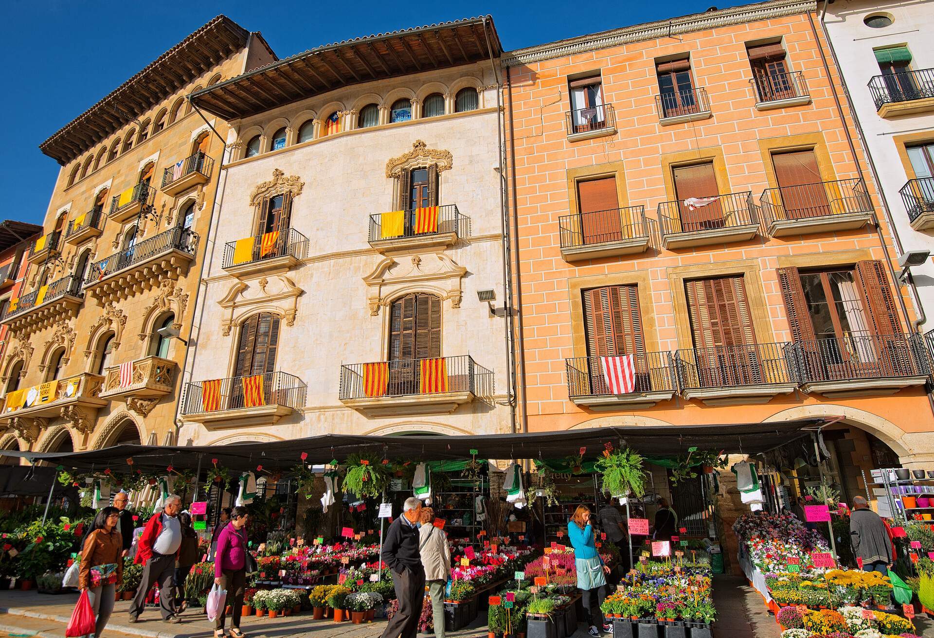 Plant shops in a row of colourful sunlit buildings visited by some locals and tourists.