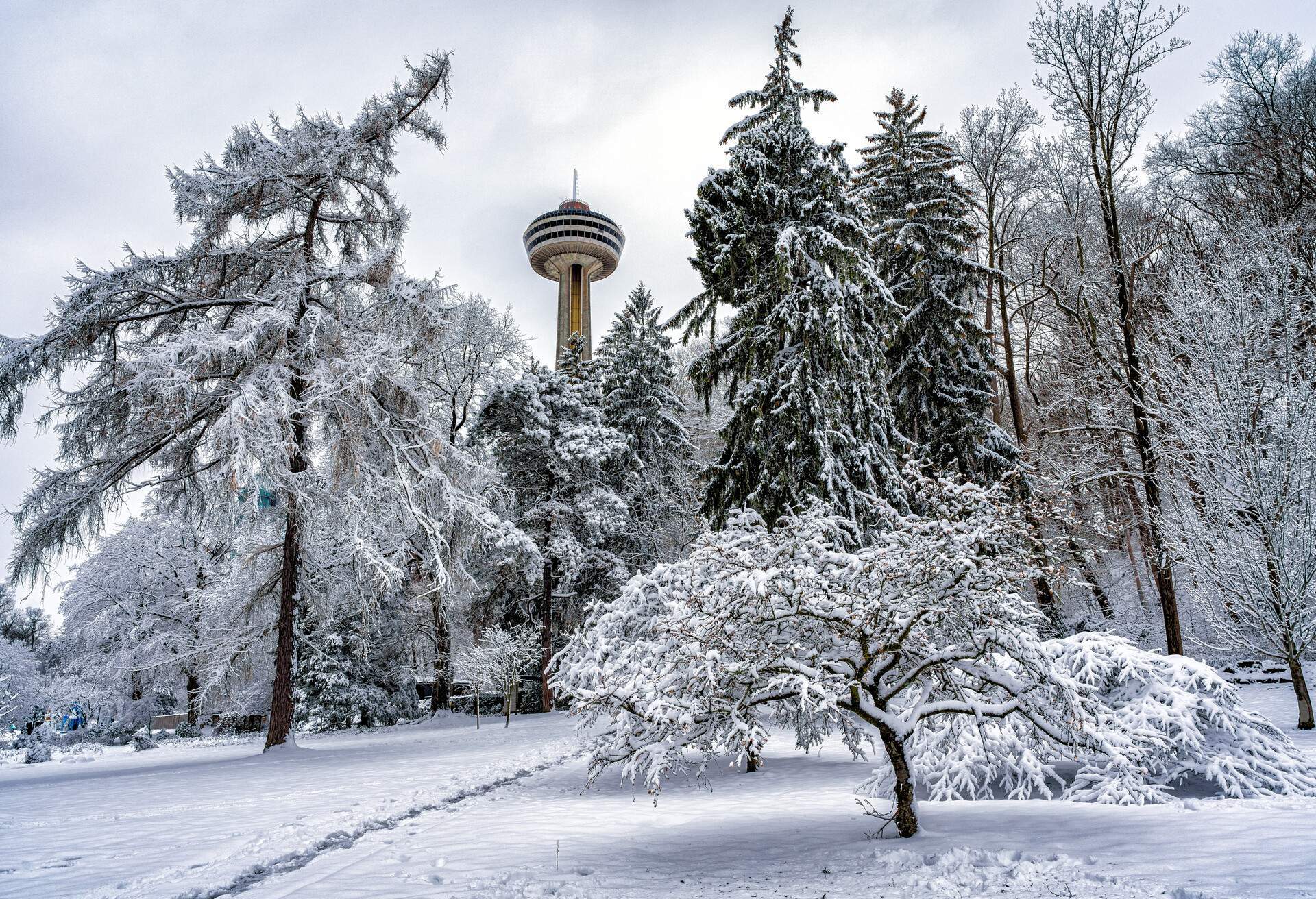 voyage en hiver au canada