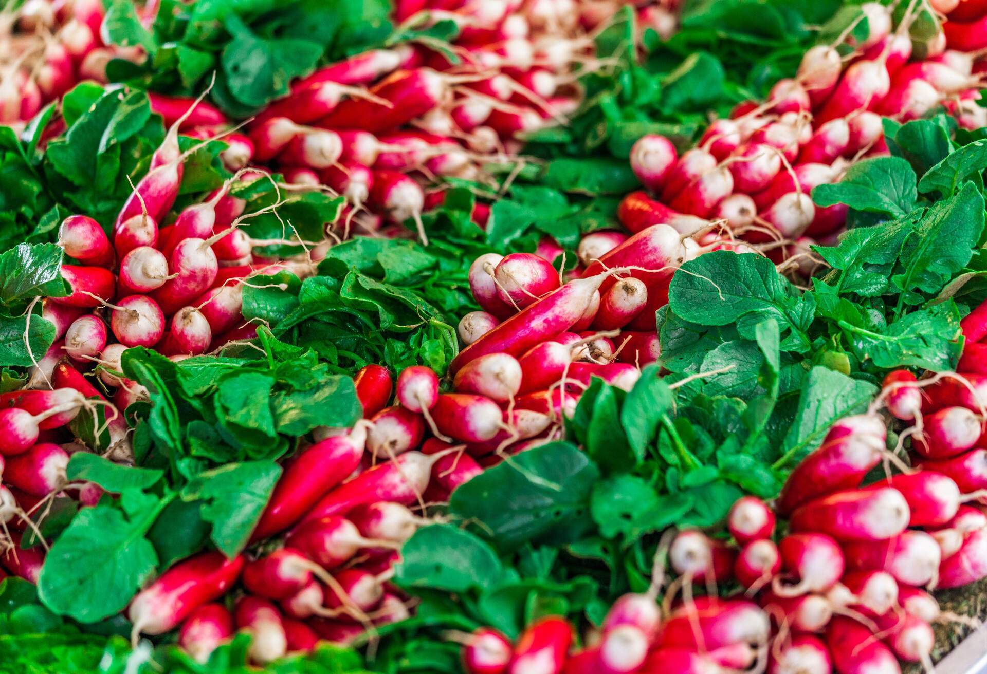 Radis sur un marché alimentaire