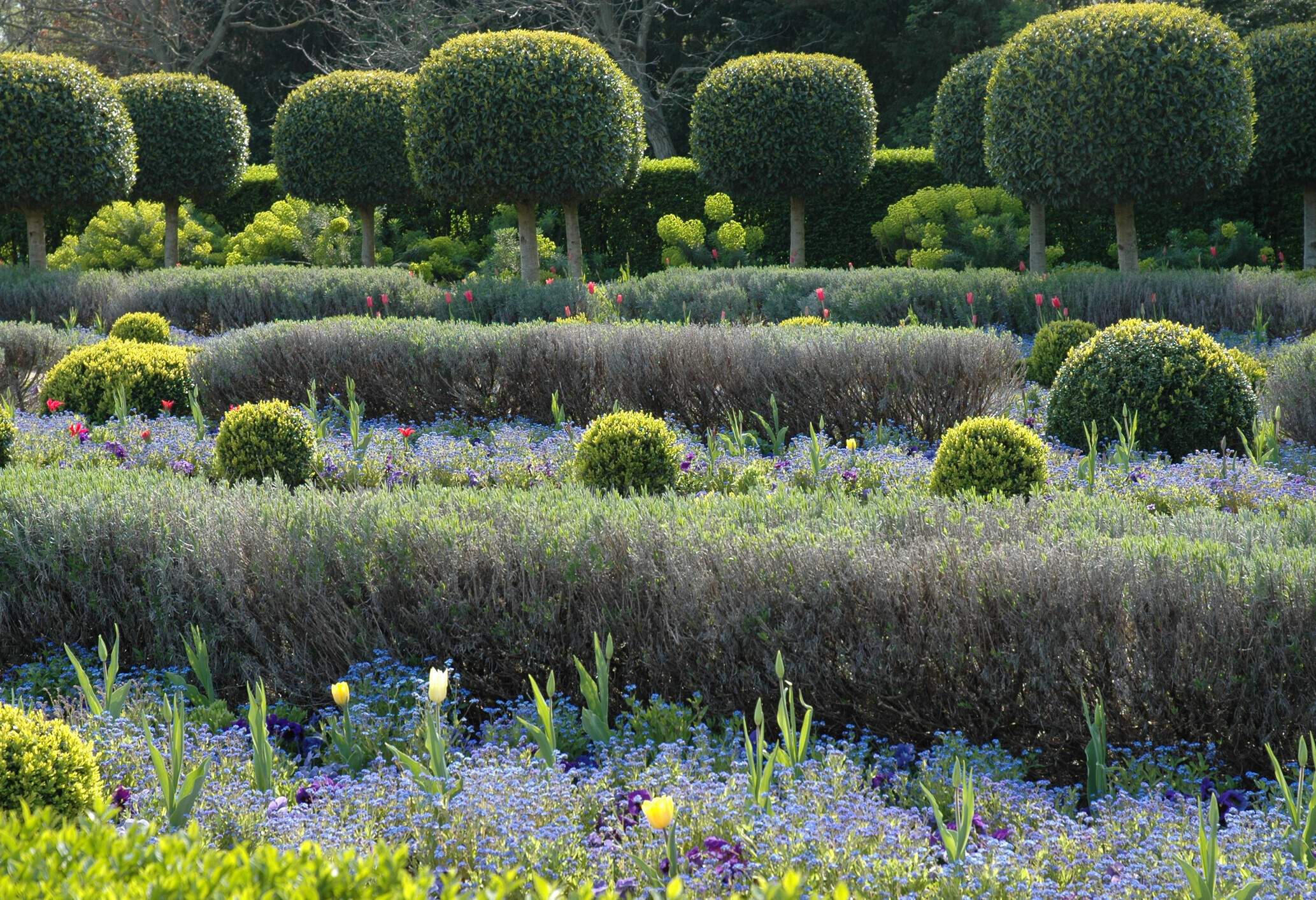 A garden filled with rows of bushes, flowers, and topiary trees.