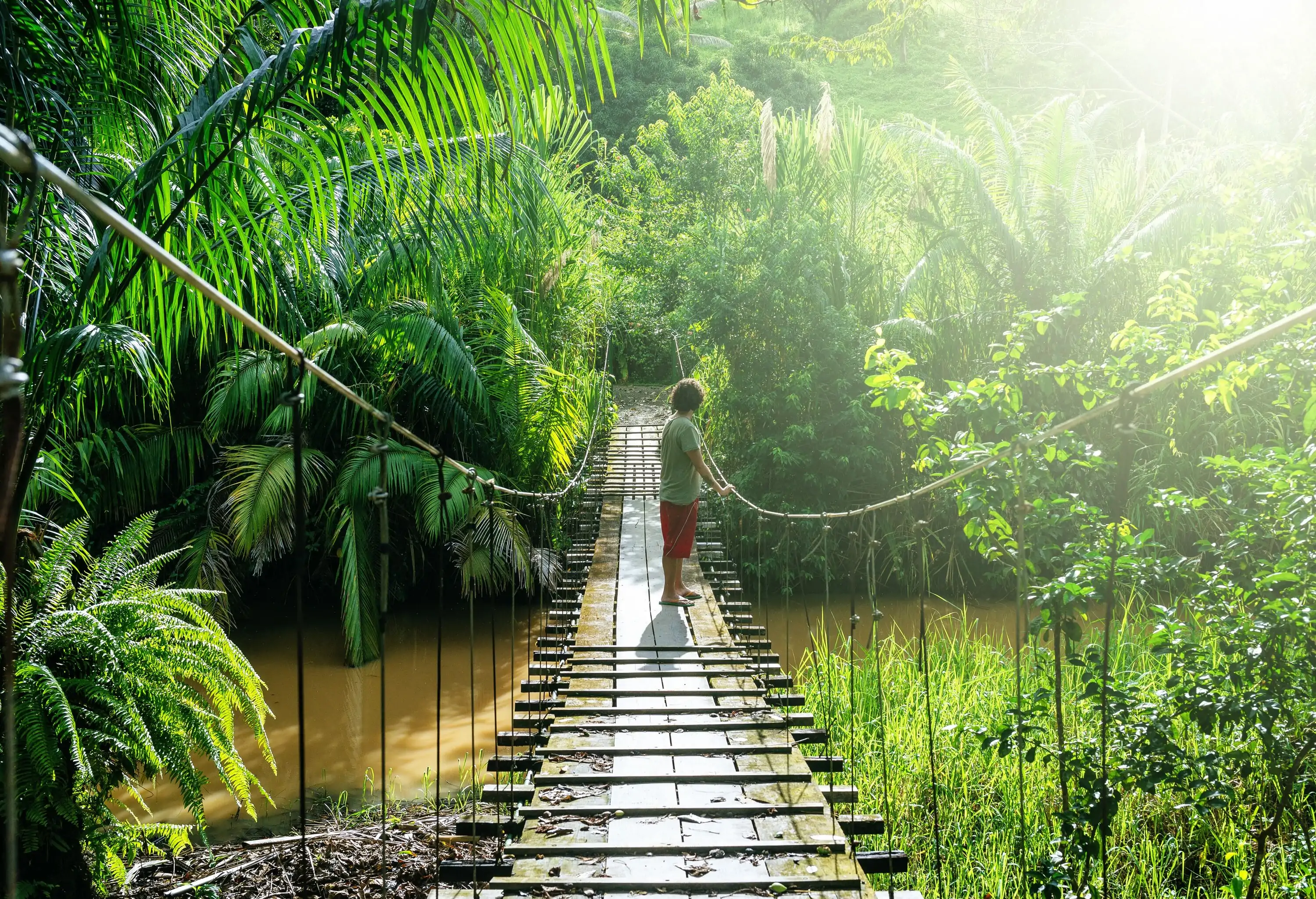 A man stands on a hanging bridge across a calm river bordered by lush vegetation.