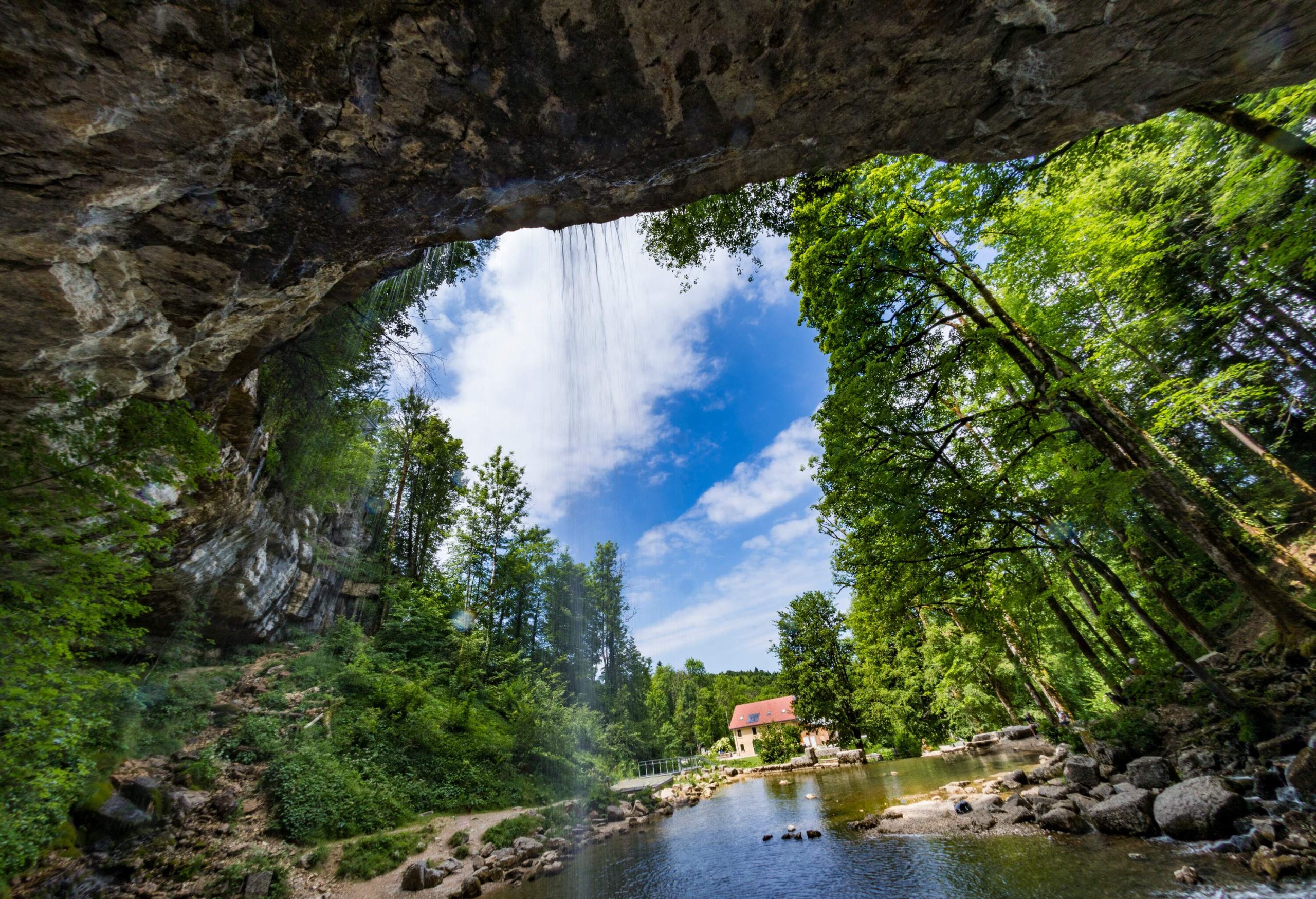 A low-volume waterfall cascades into a serene stream surrounded by a dense forest.