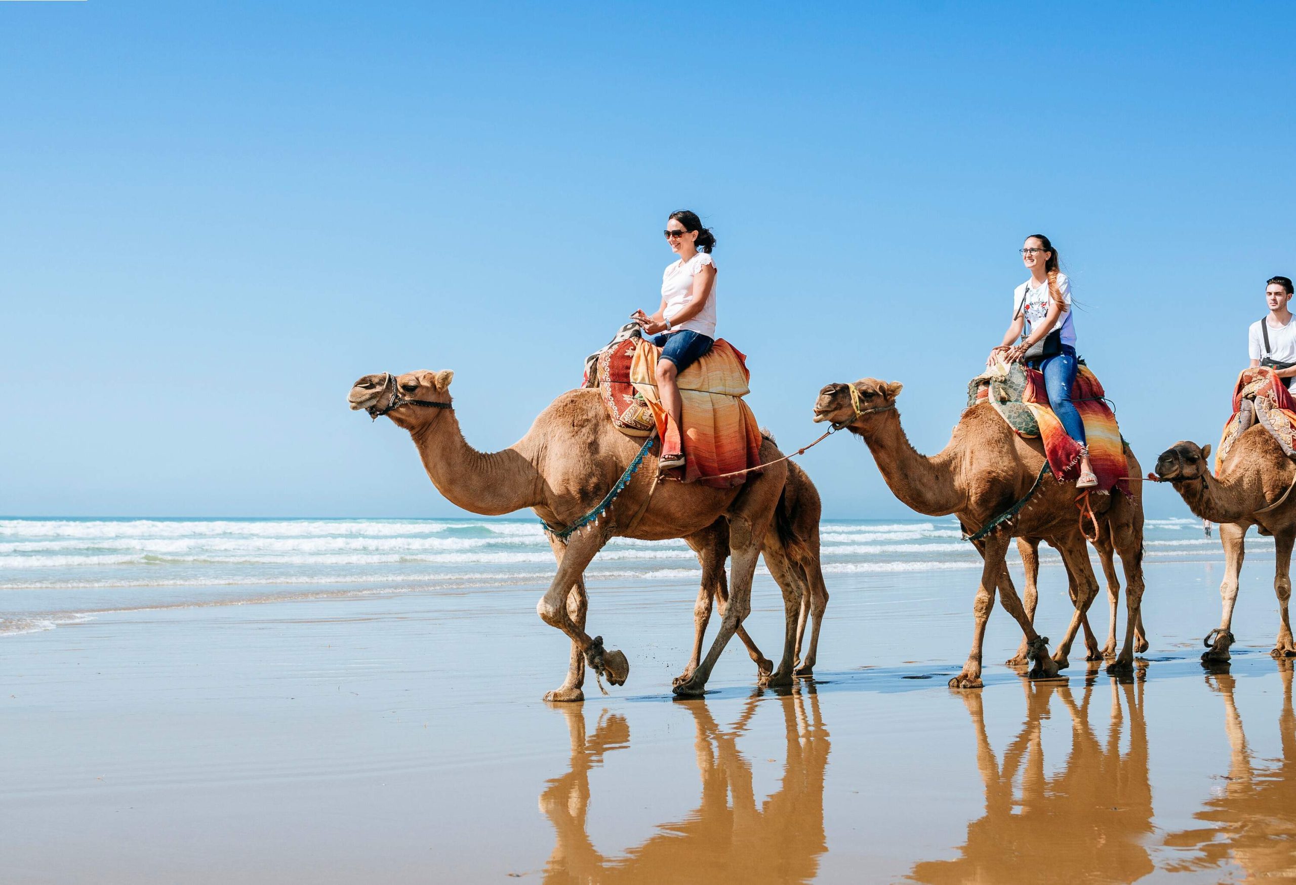 Three people riding camels along a wet beach under a clear open sky.