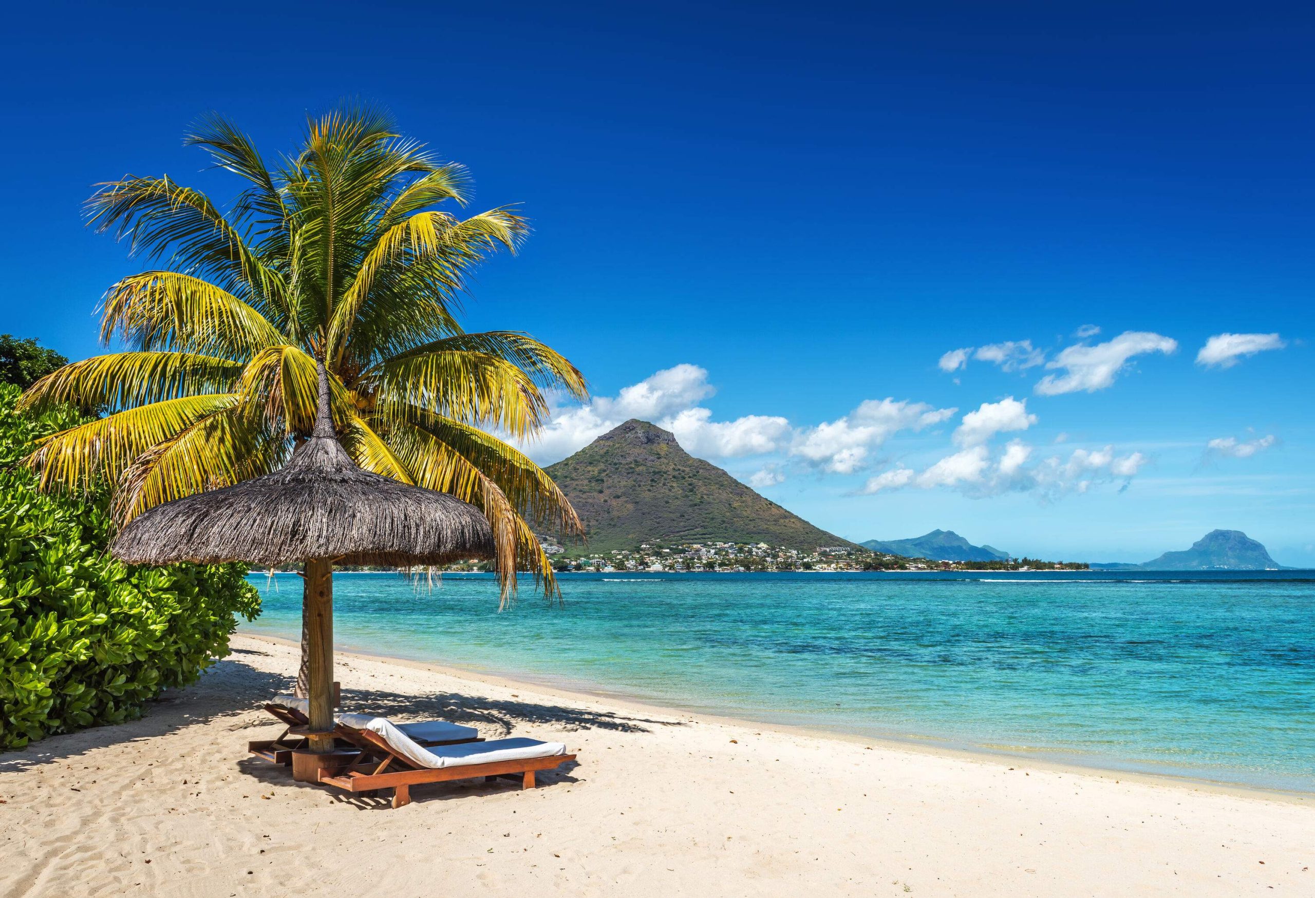 Sunbeds under thatched umbrellas beside a palm tree on a beach in front of a turquoise ocean.