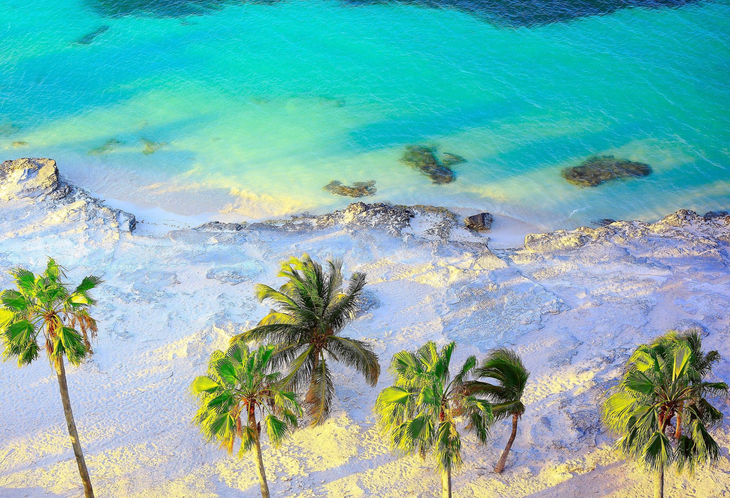 Tall, swaying palm trees line a pristine white-sand beach, where gentle turquoise waves meet a rugged, rocky coastline.