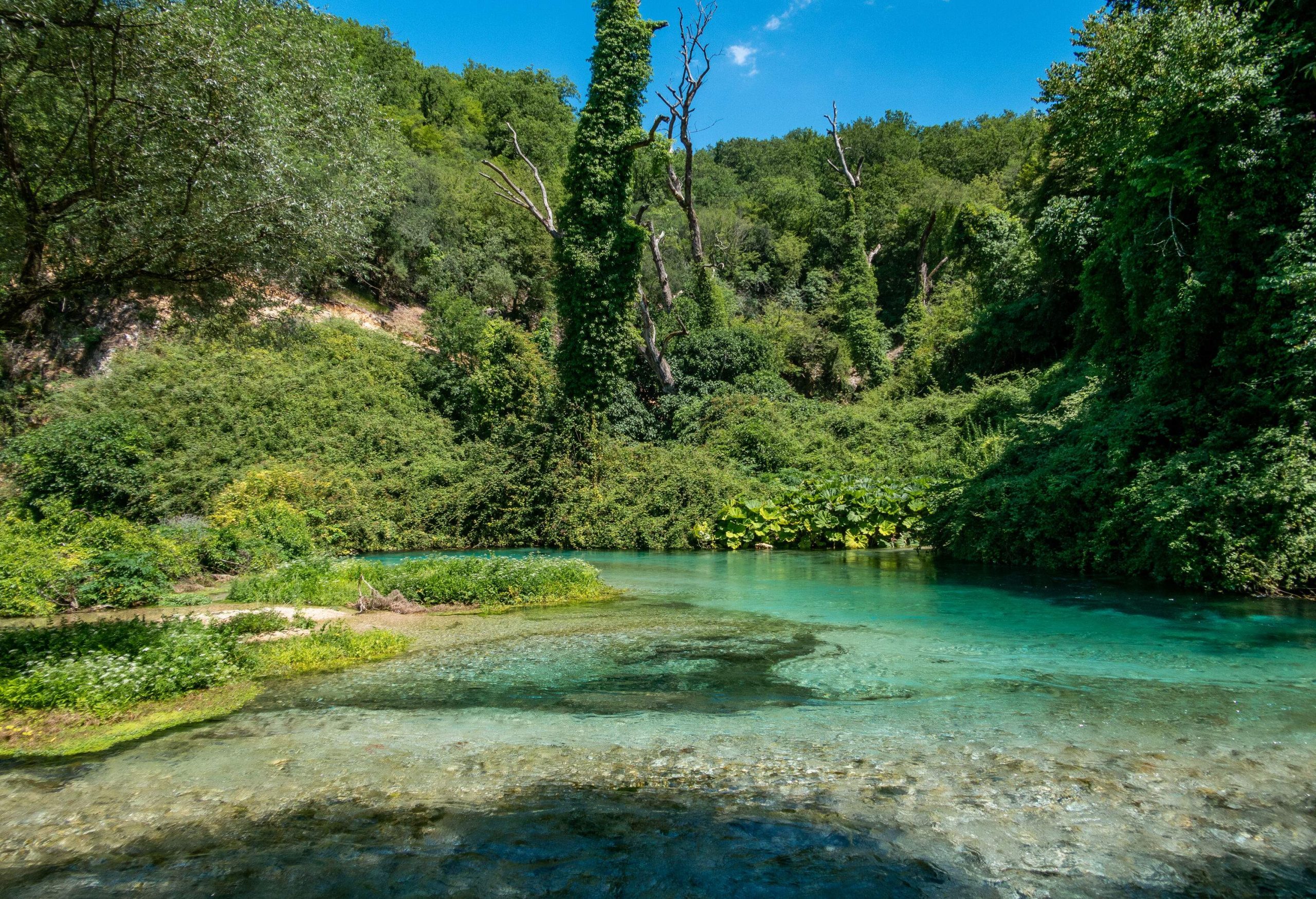 A spring with light blue crystal clear water flowing in the middle of a lush forested mountain.
