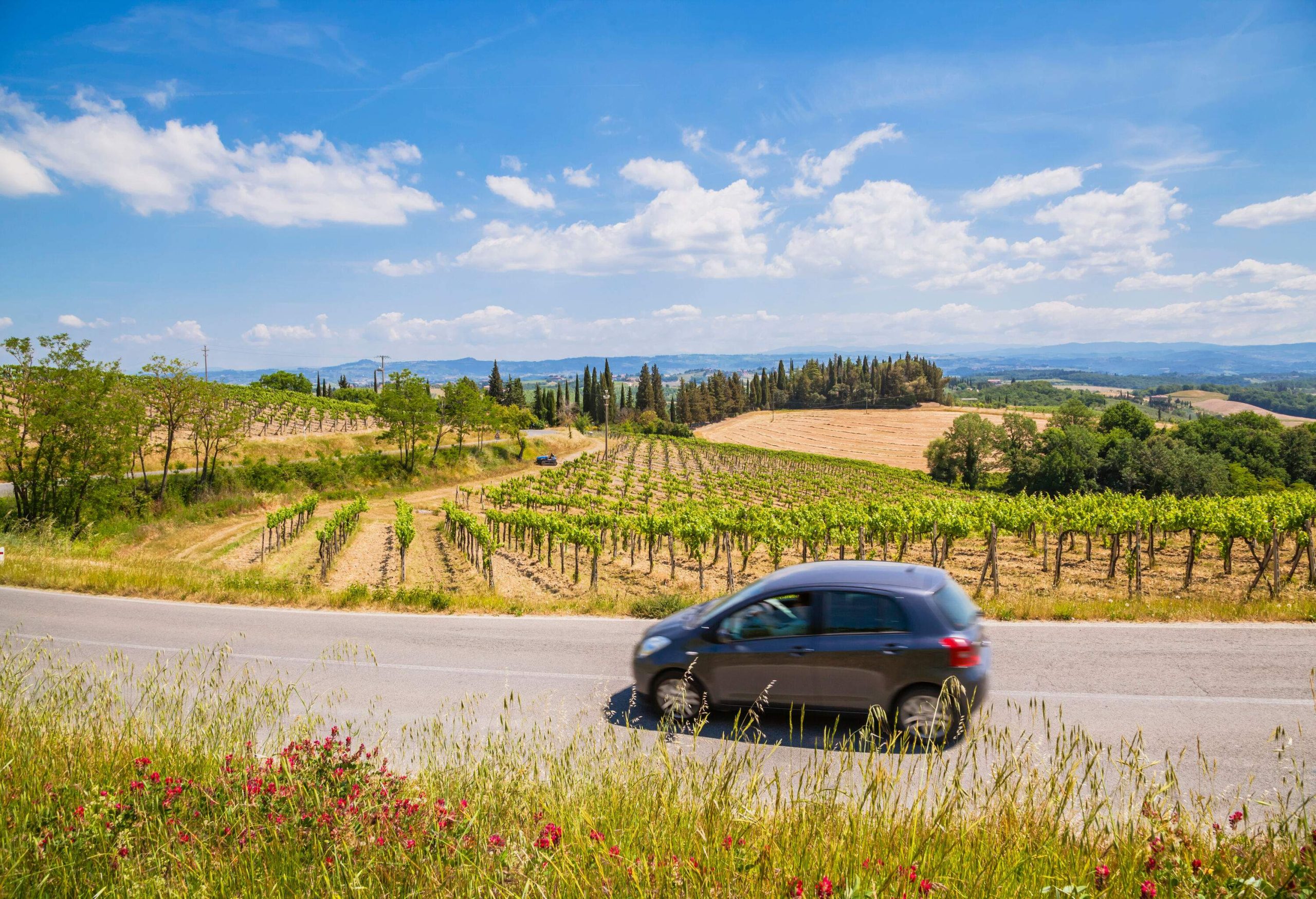 A car on the road passing by expansive vineyards and plantation fields.