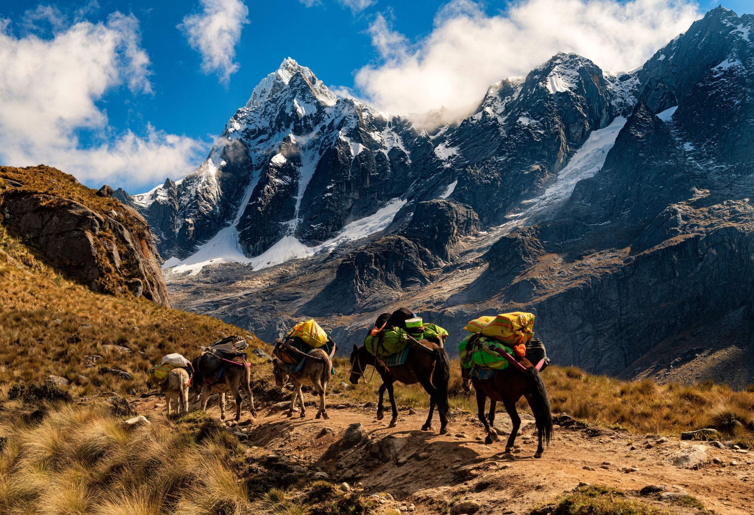 A row of donkeys carrying luggage walking on a trail across snowy mountains.
