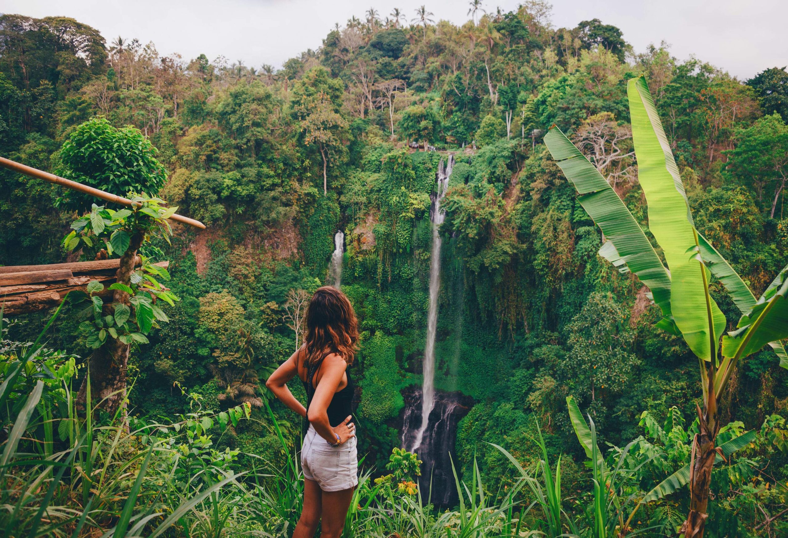 A woman standing on a hill looking at a narrow waterfall in a lush forest.