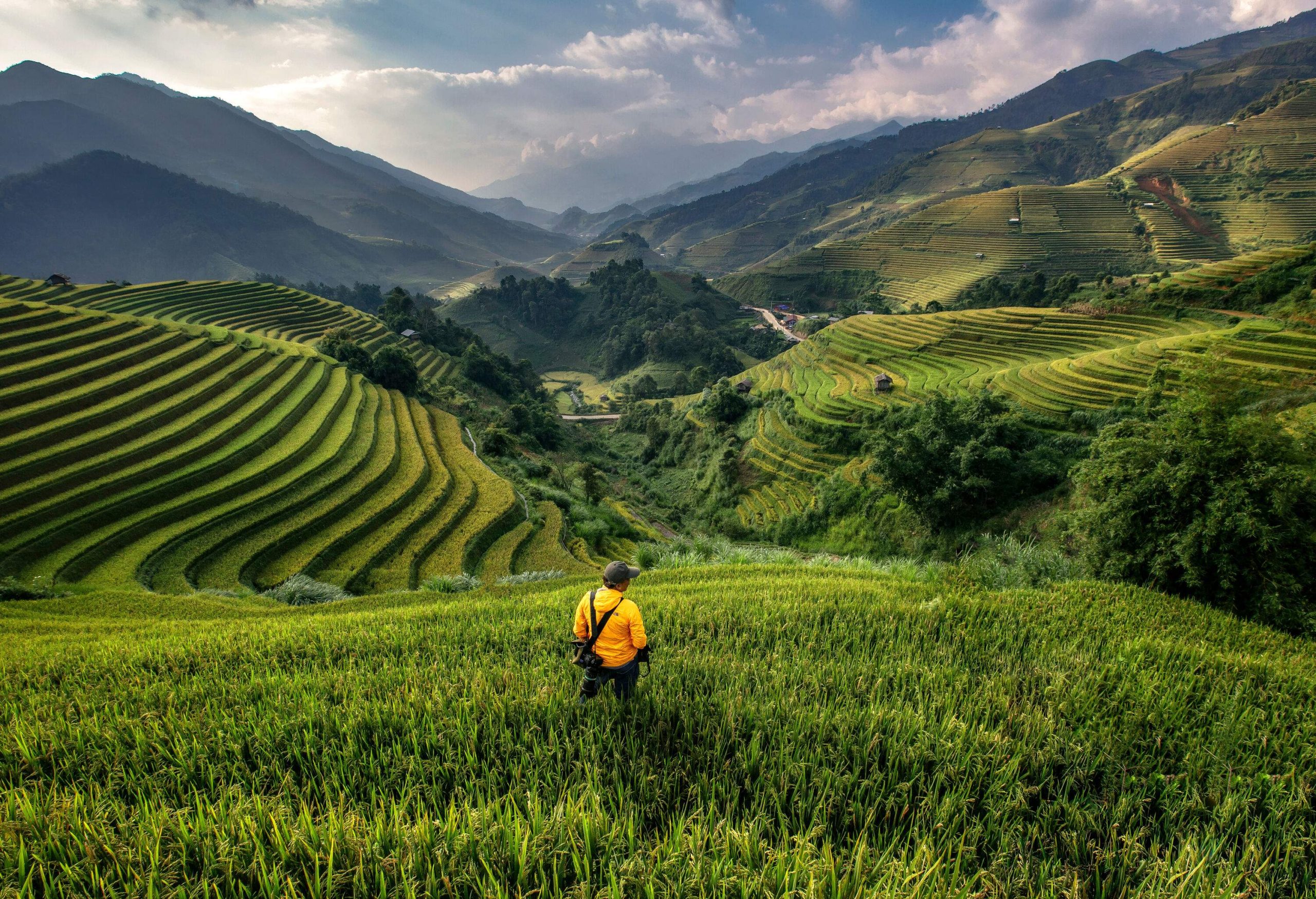 A man in a yellow jacket walking across a lush hillside with breathtaking views of terraced rice fields.