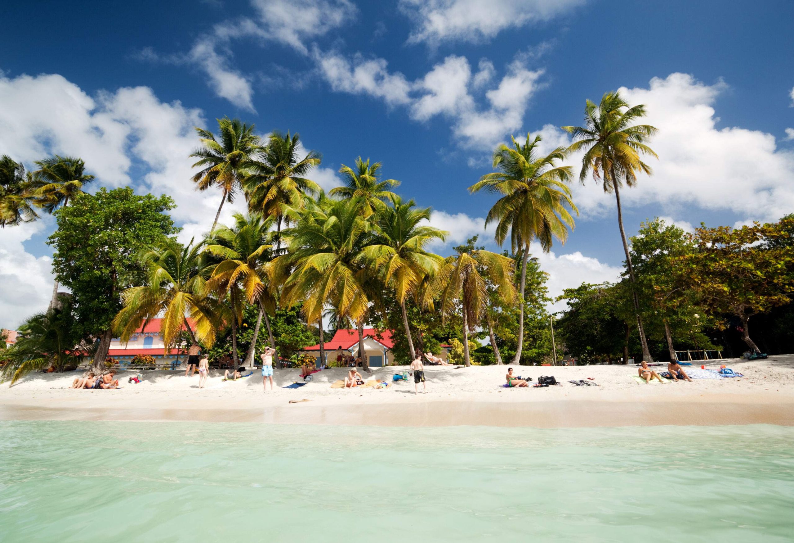 People lounging under the shade of palm trees on a tropical beach.