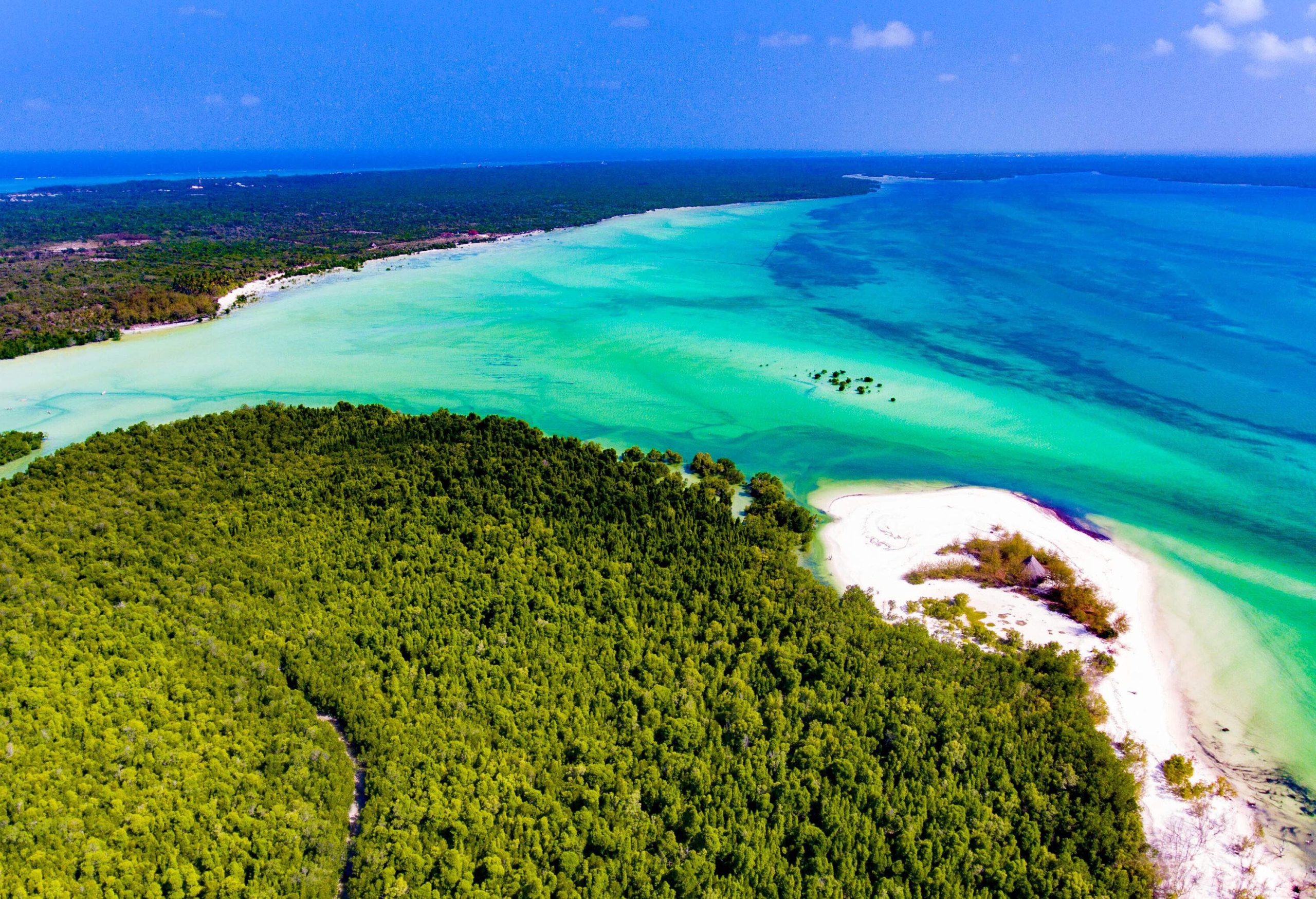 Aerial view of a verdant island surrounded by the turquoise sea under the clear blue sky.