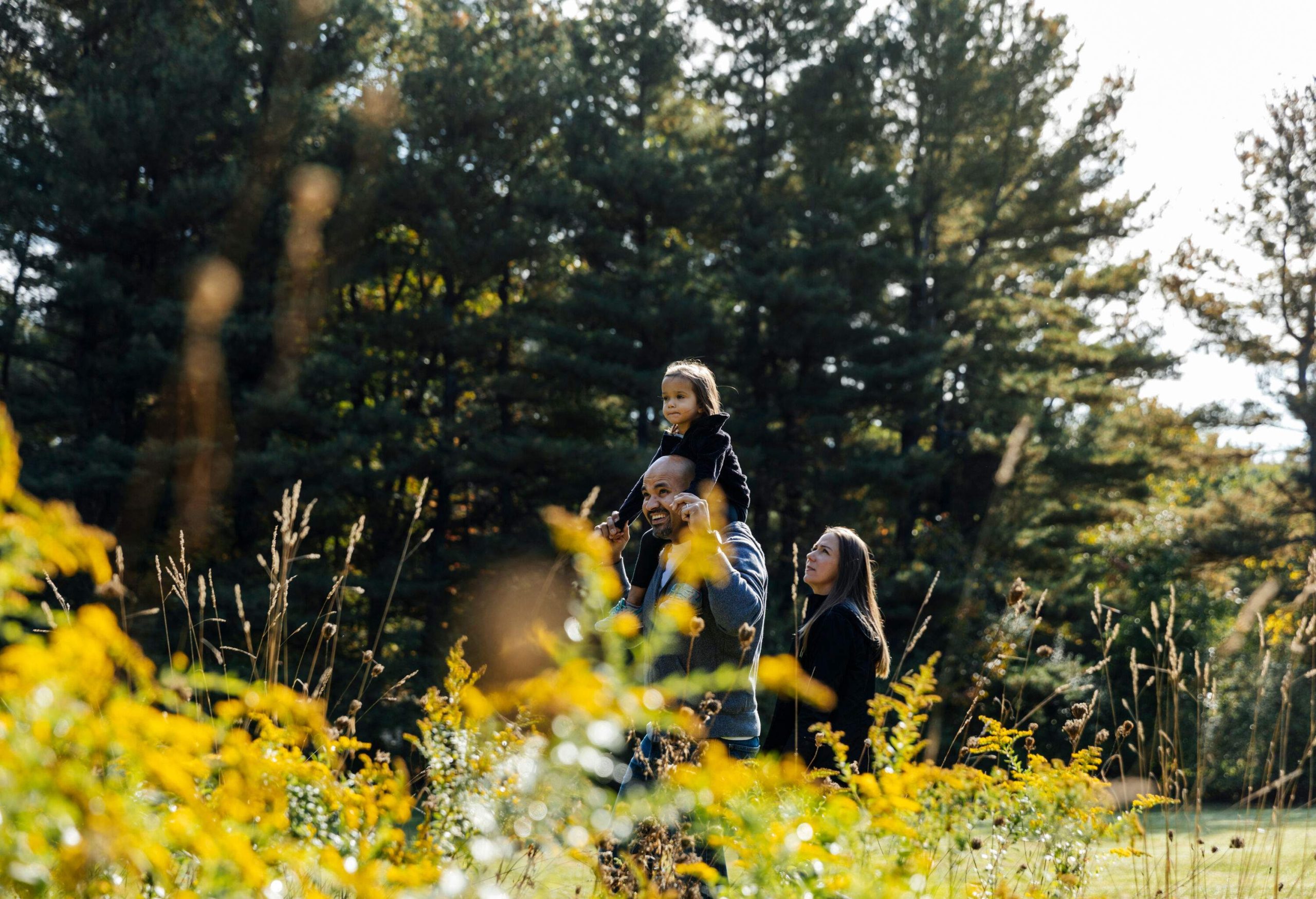 A family of three out for a walk in the woods with the small girl perched on her father's shoulder.