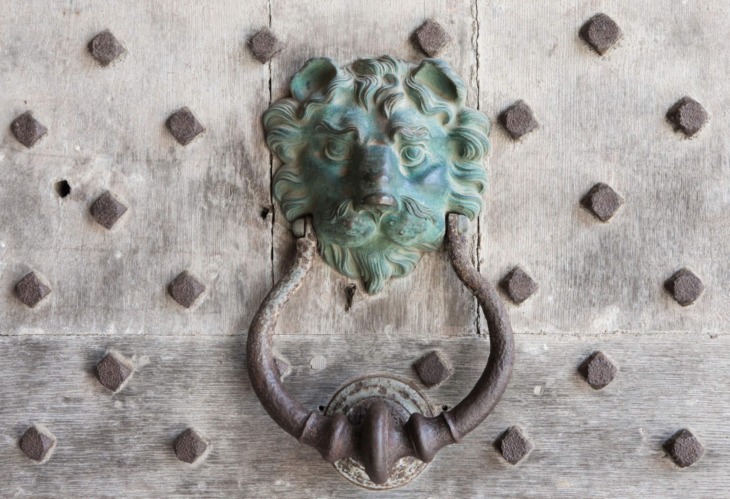 A cast-iron lion's head door knocker affixed to a hardwood door.