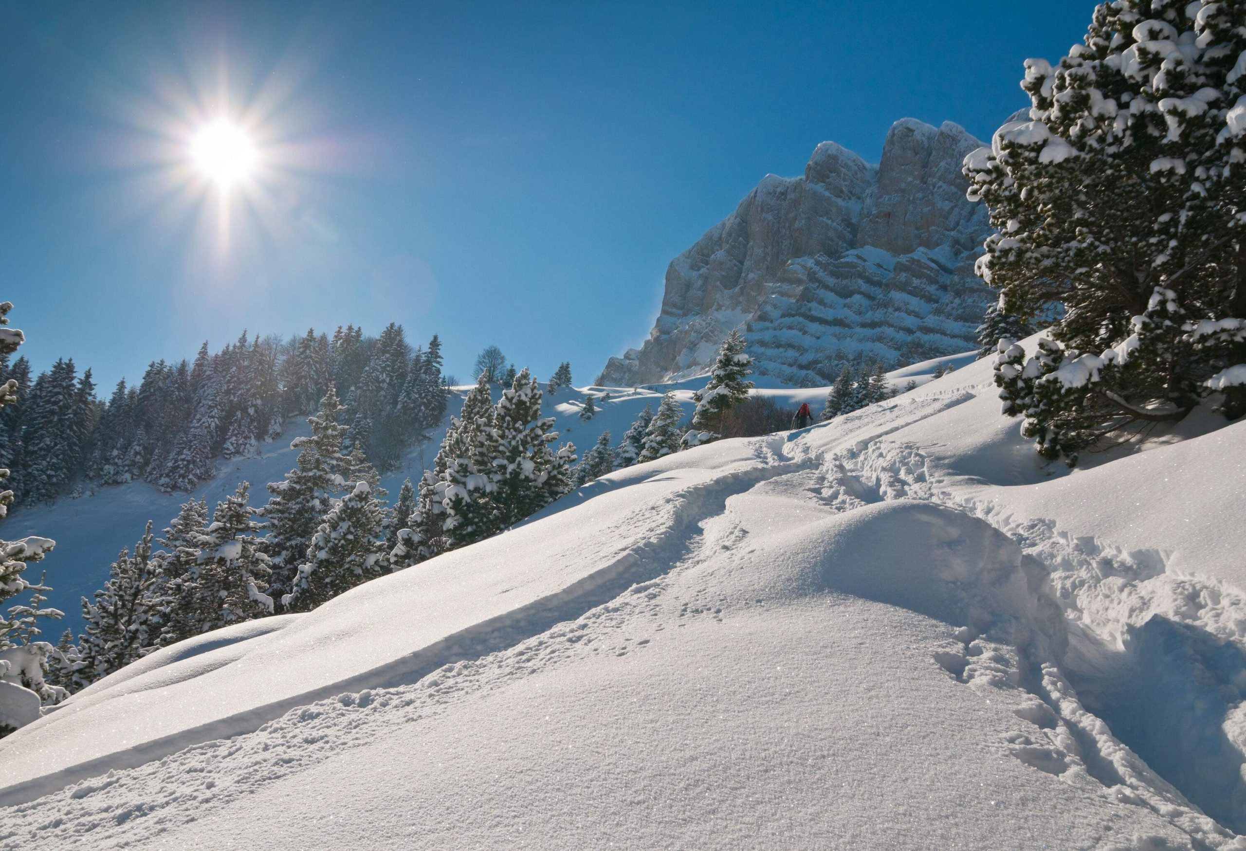 Mountains and trees thickly covered in snow with the sun shining in the blue sky.