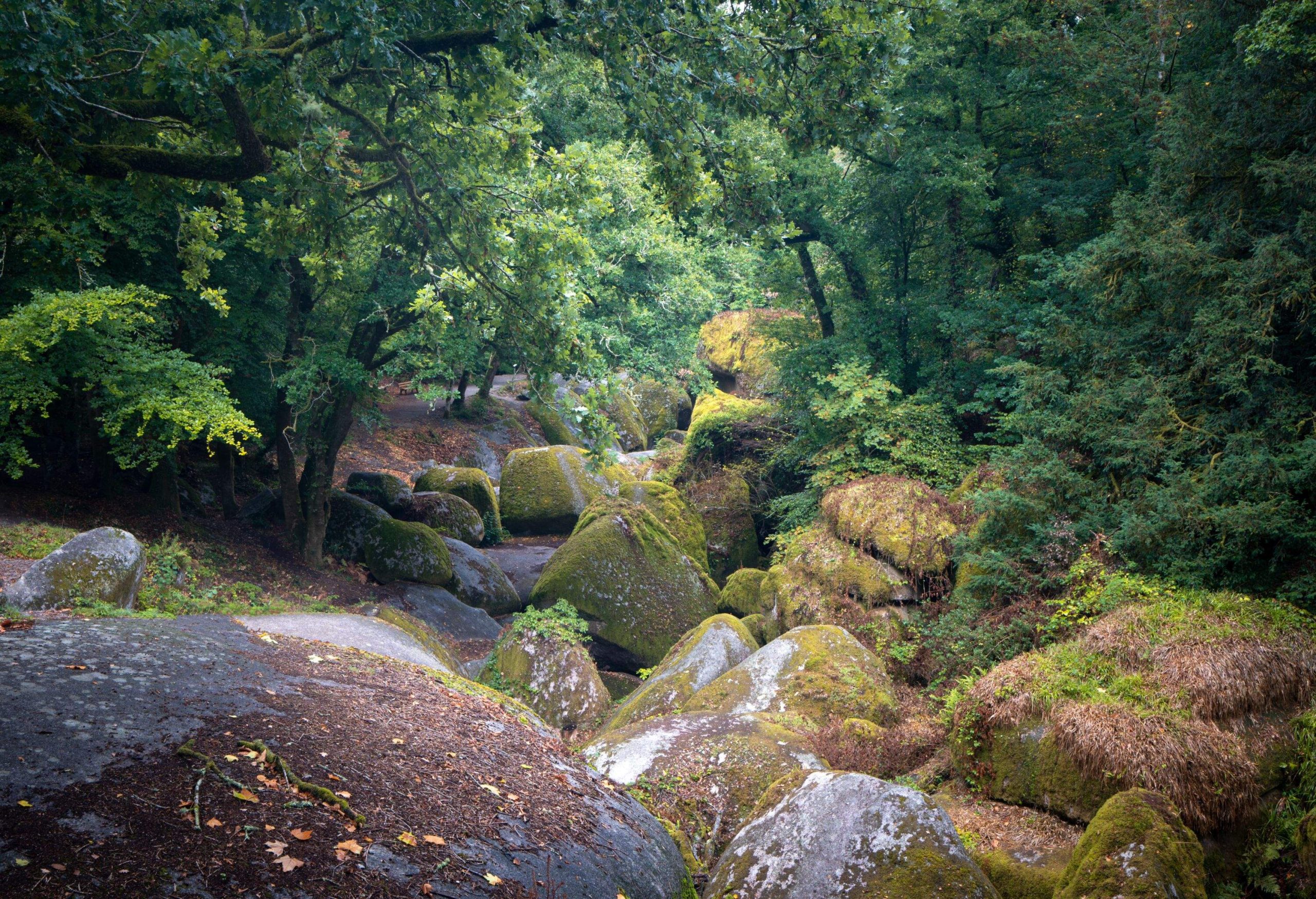 This image was taken in Huelgoat forest , Monts d'Arrée, Finistère, Bretagne.You can see the 