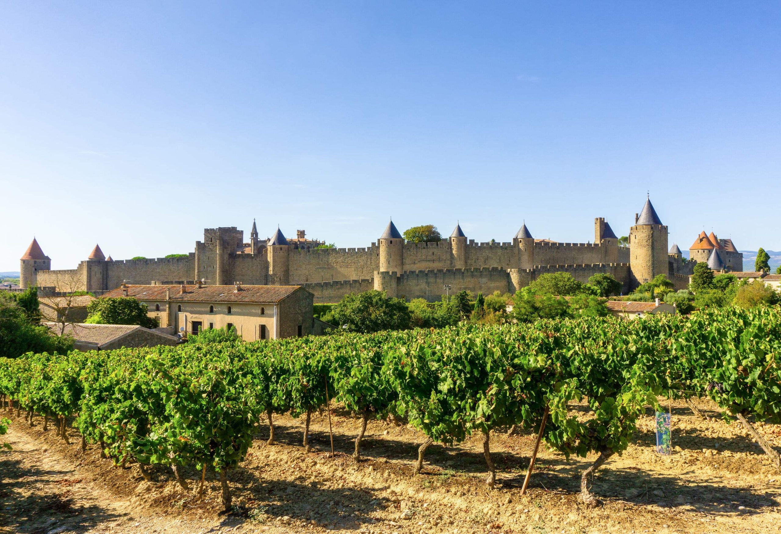 A castle's massive wall interspersed by towers surrounded by vineyards against the blue sky.