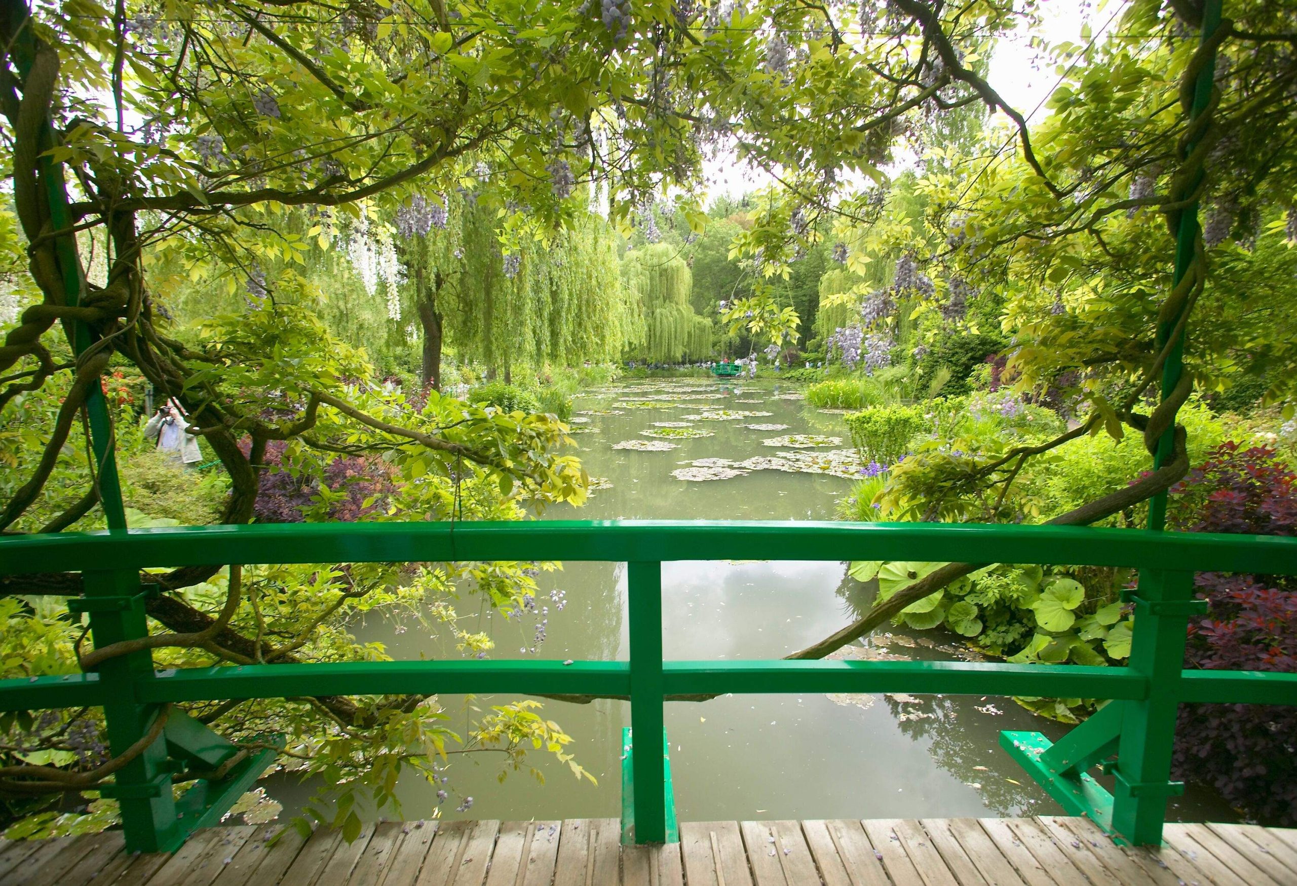 A bridge with a green fence across a pond surrounded by low-hanging trees and plants.