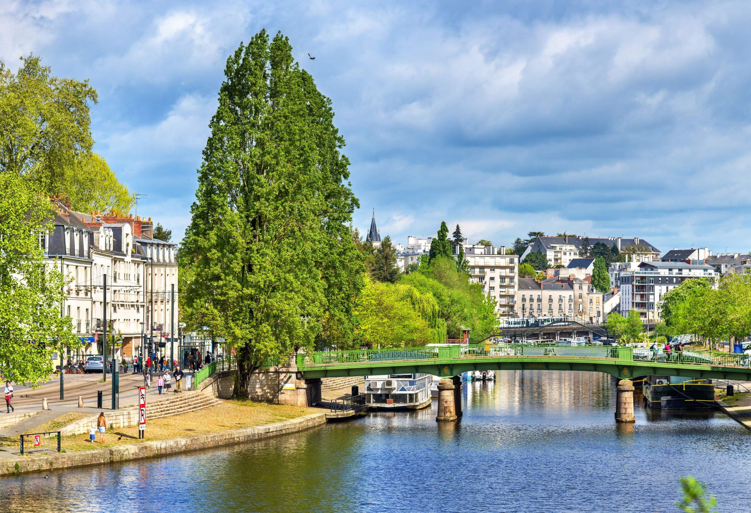 A bridge across a river flowing through tree-lined banks.