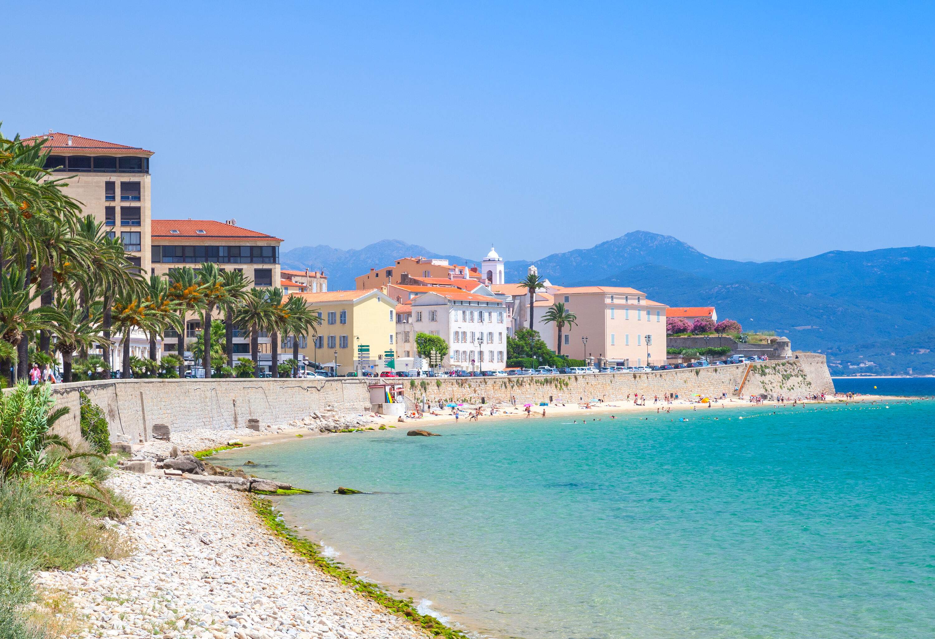A pebbly beach with buildings and palm trees behind the sea wall.