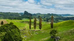 Hôtels à Waitomo